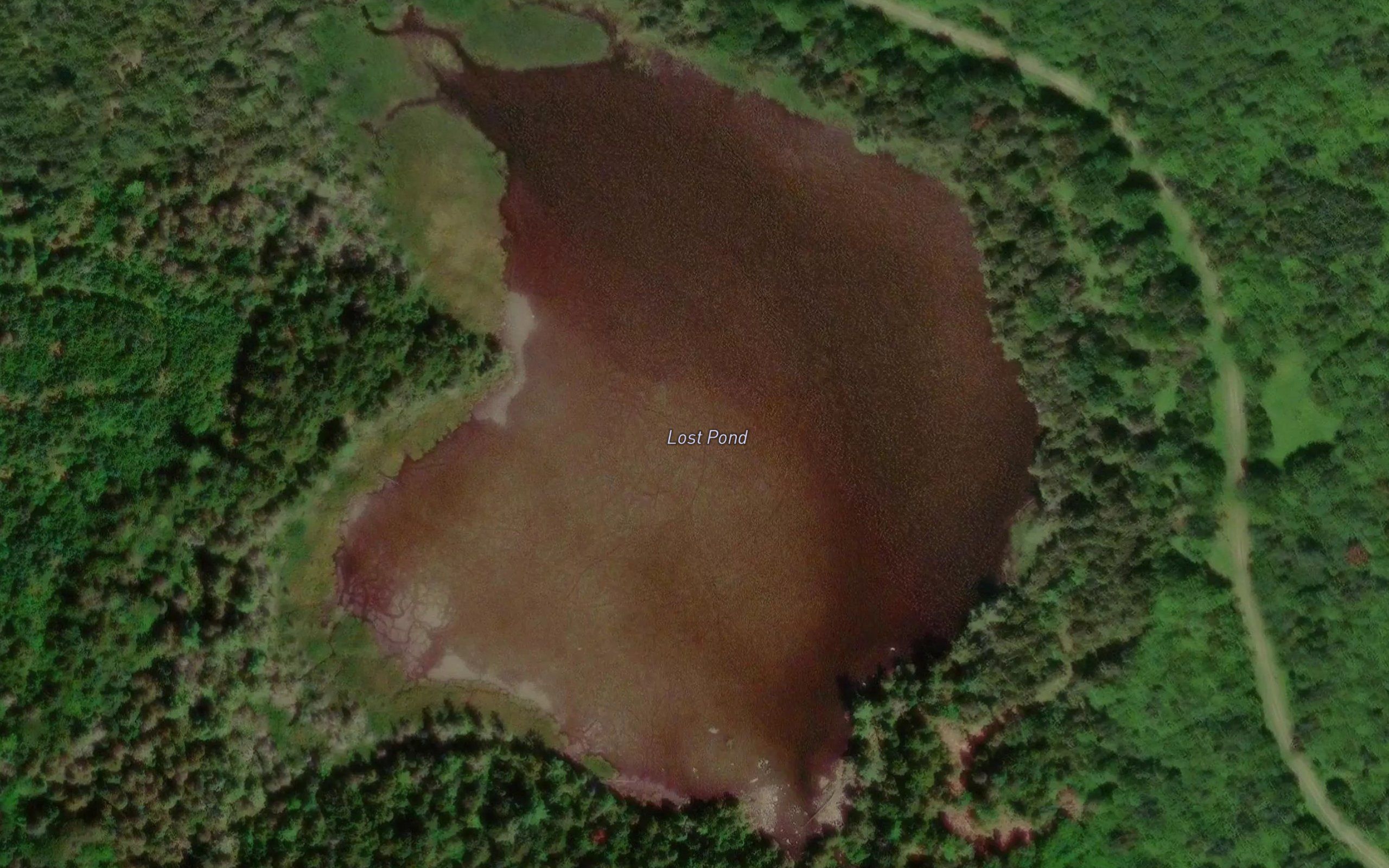 Lost Pond