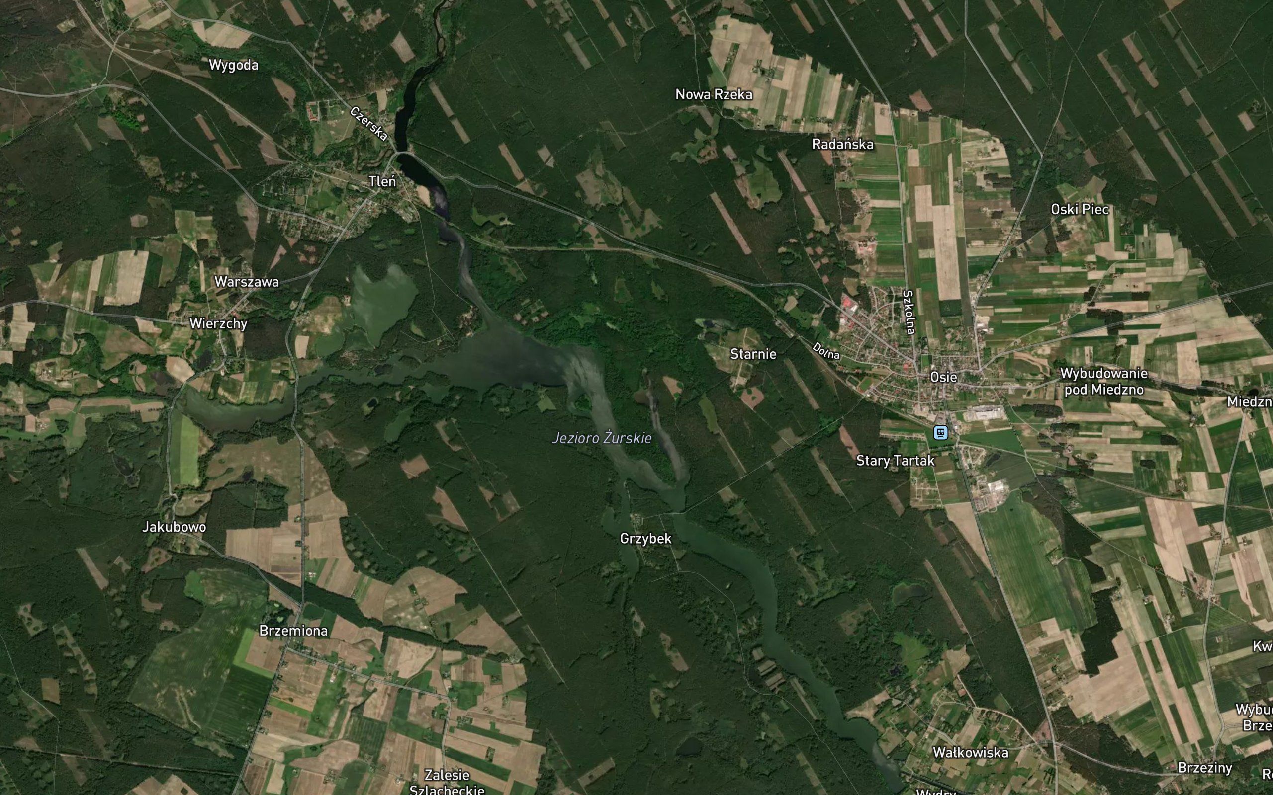 Zur