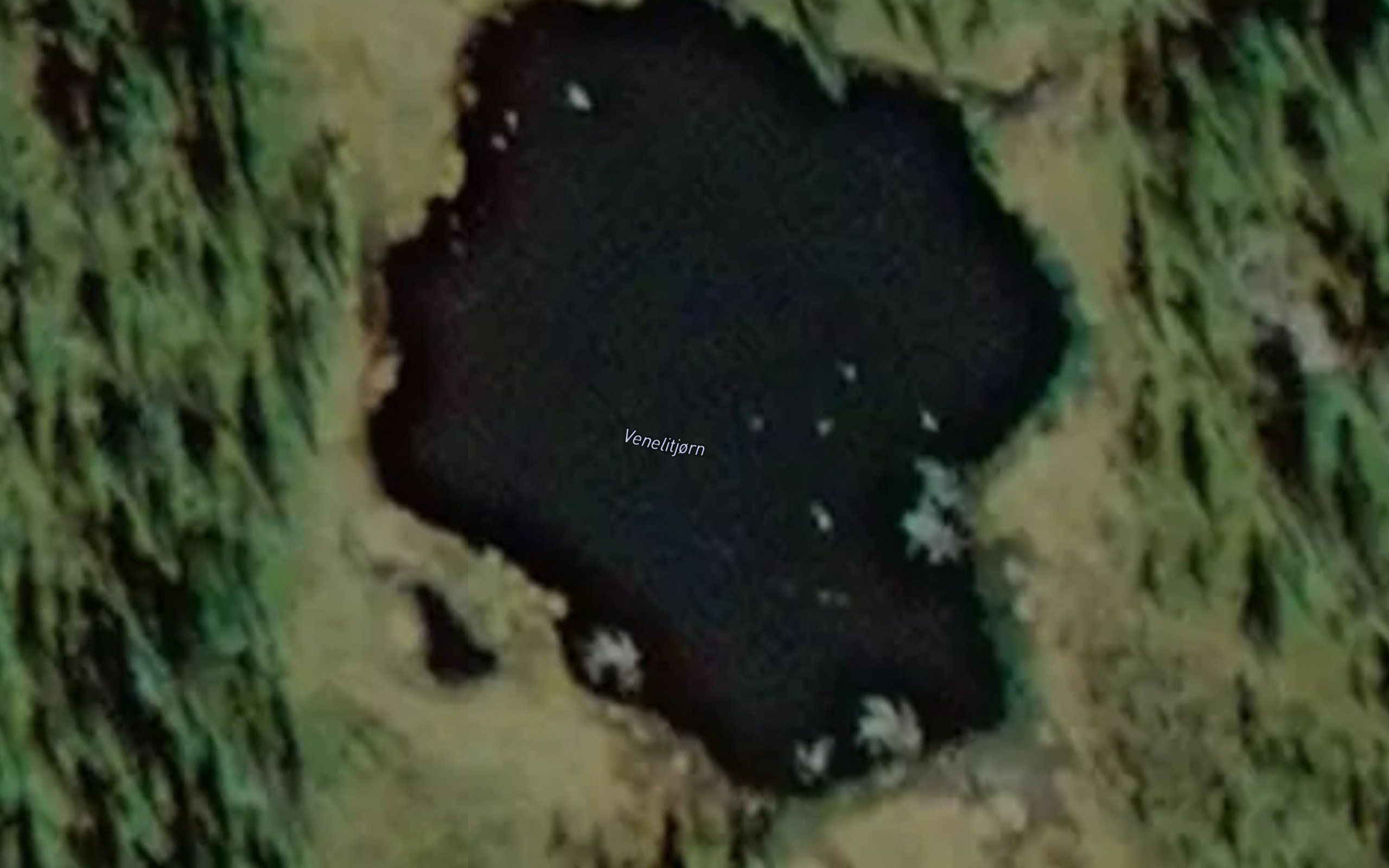 Venelitjorn