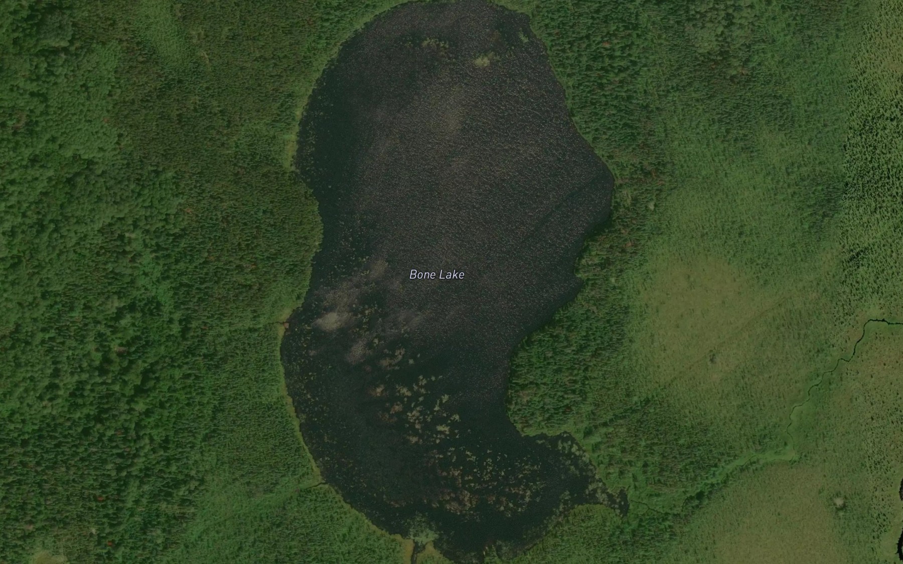 Satellite map of the Bone Lake