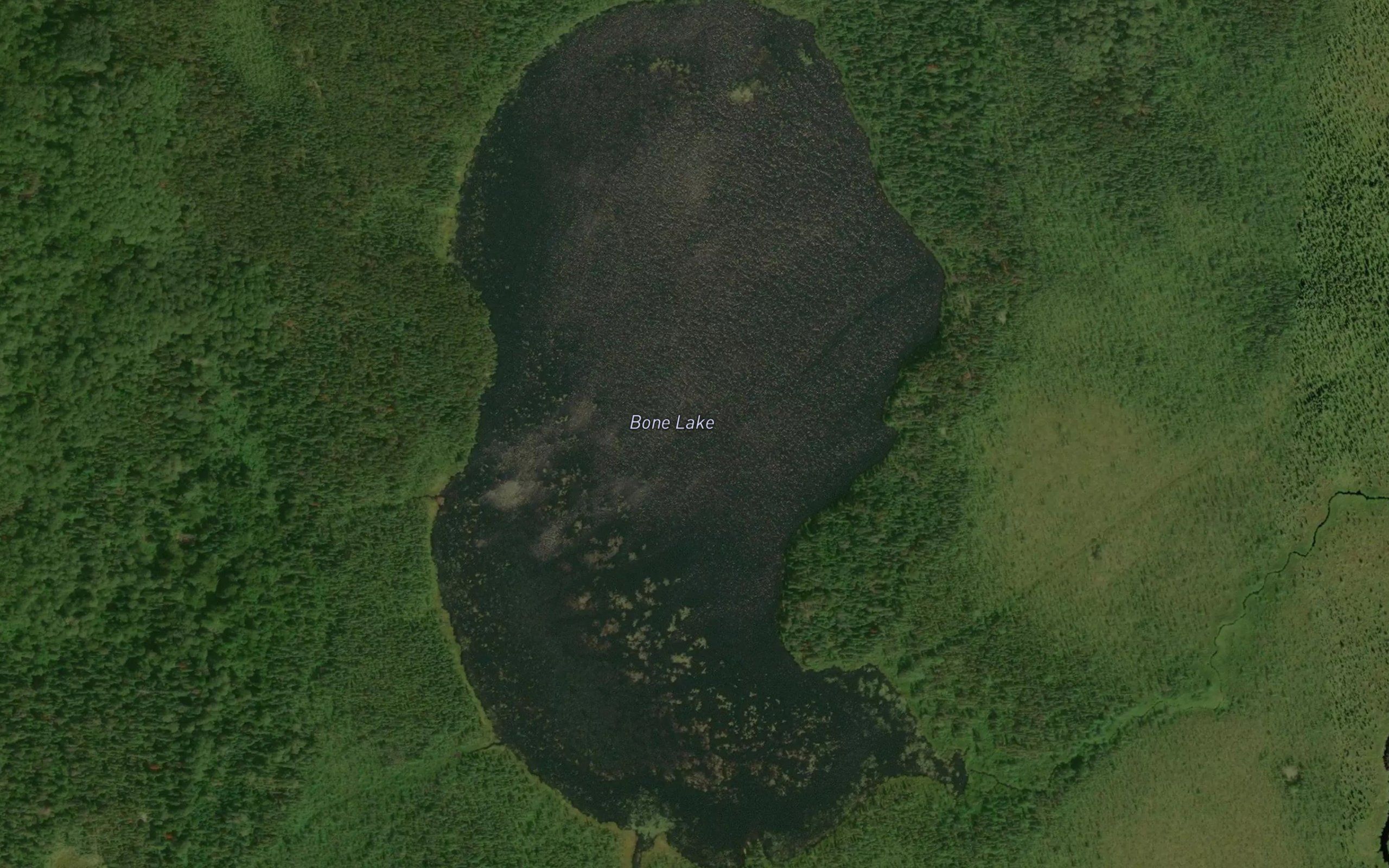 Bone Lake