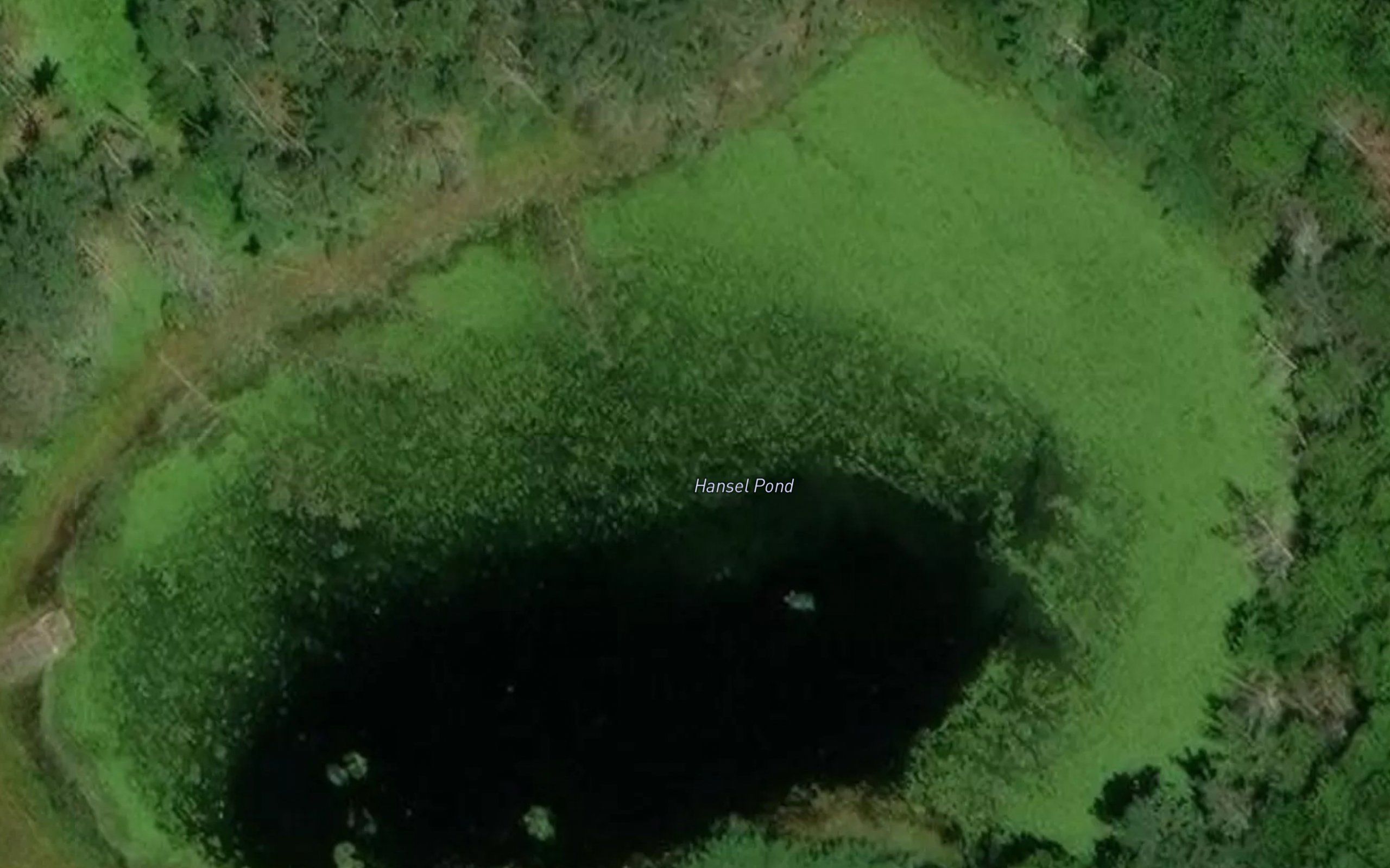 Hansel Pond