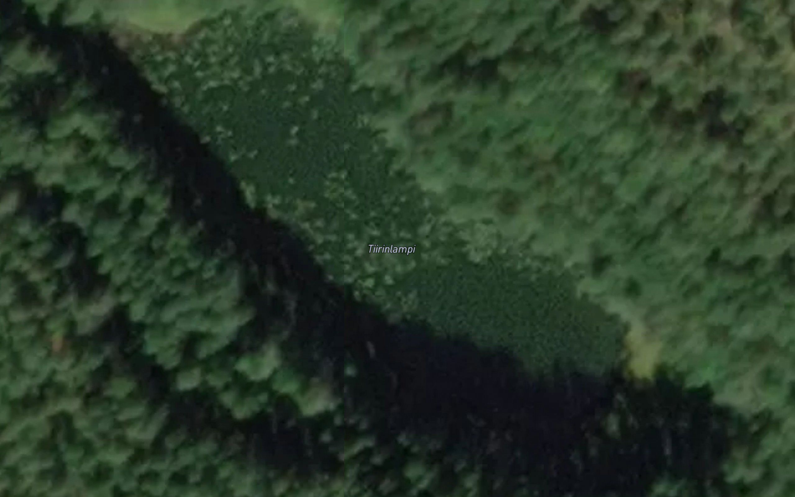 Tiirinlampi