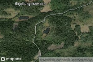 Gorrtjern