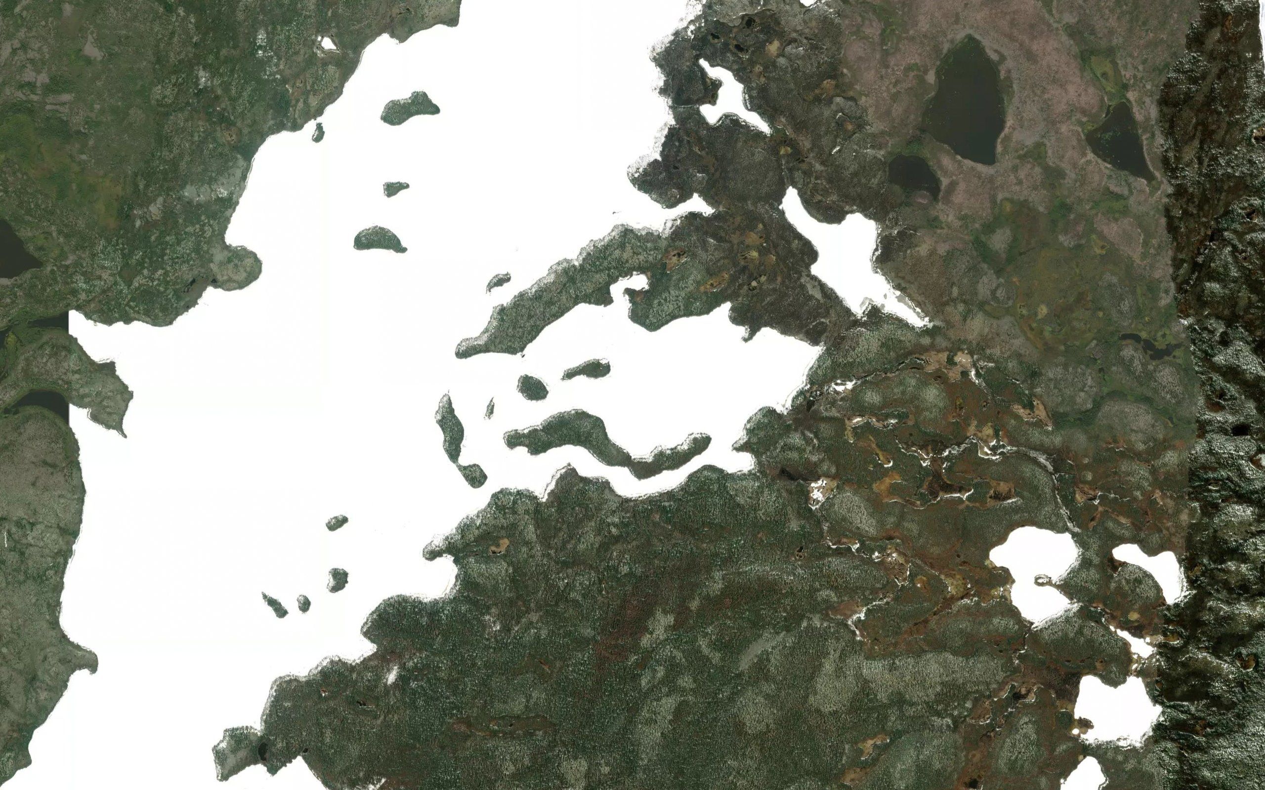 Francis Bay