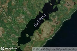 Gull Pond