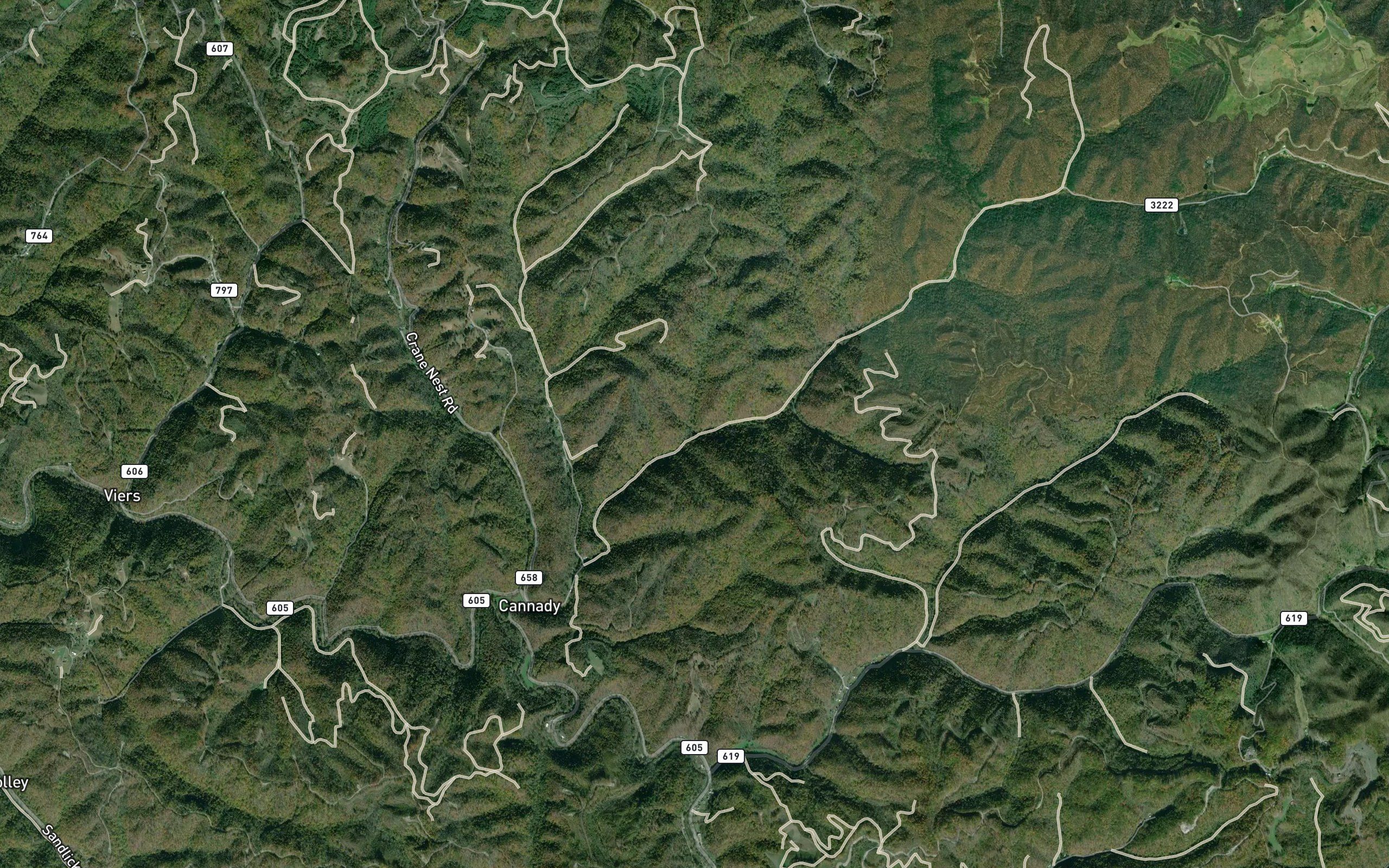 Wildcat Branch