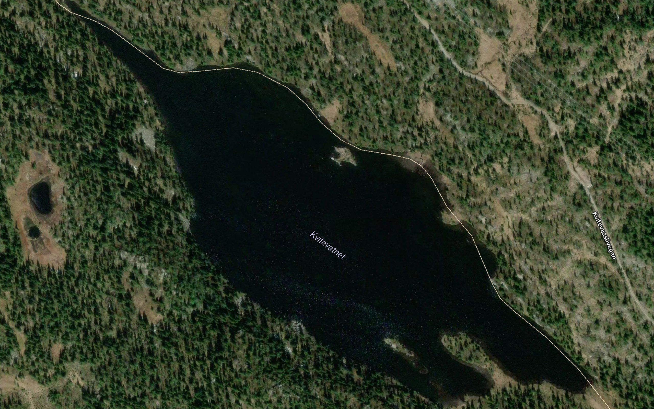 Kvitevatnet