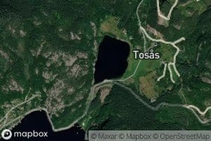 Tosastjorna