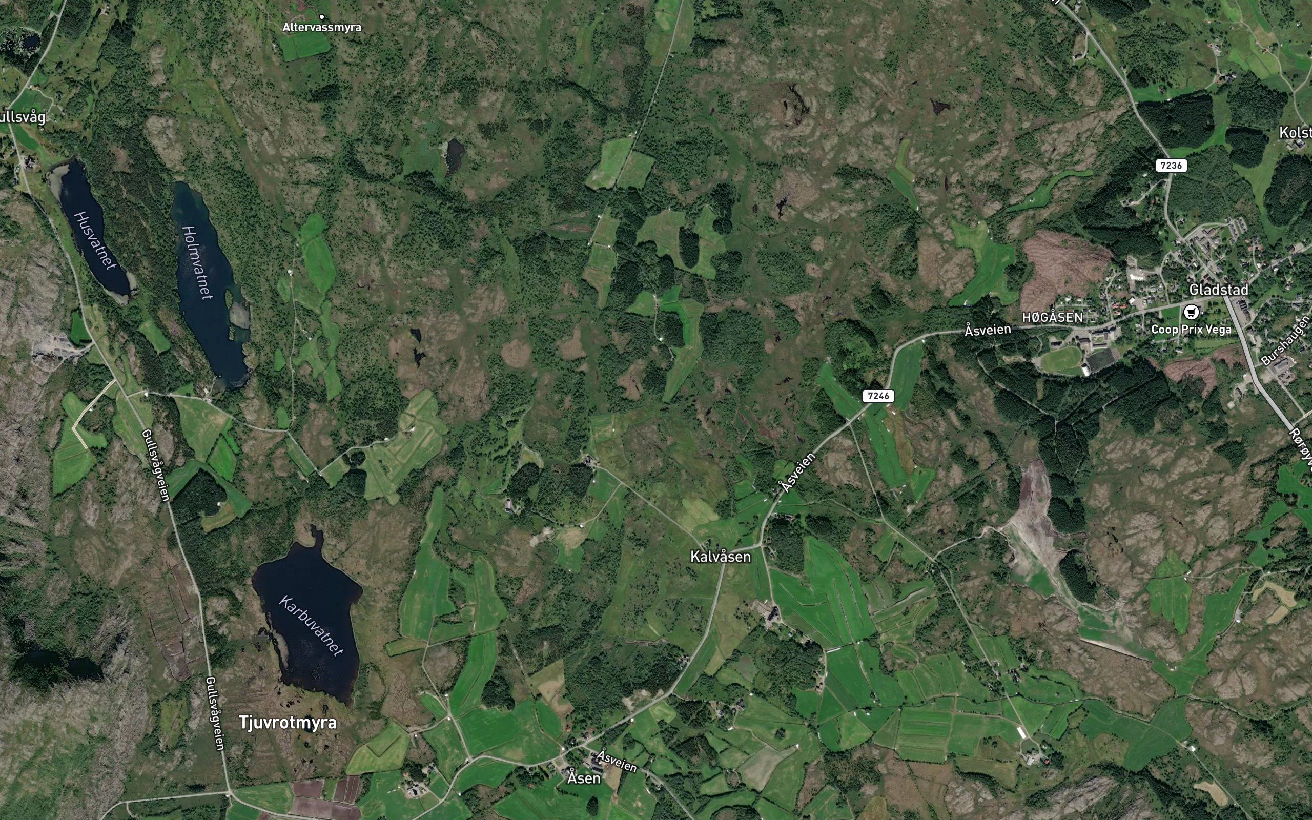 Innertjonna