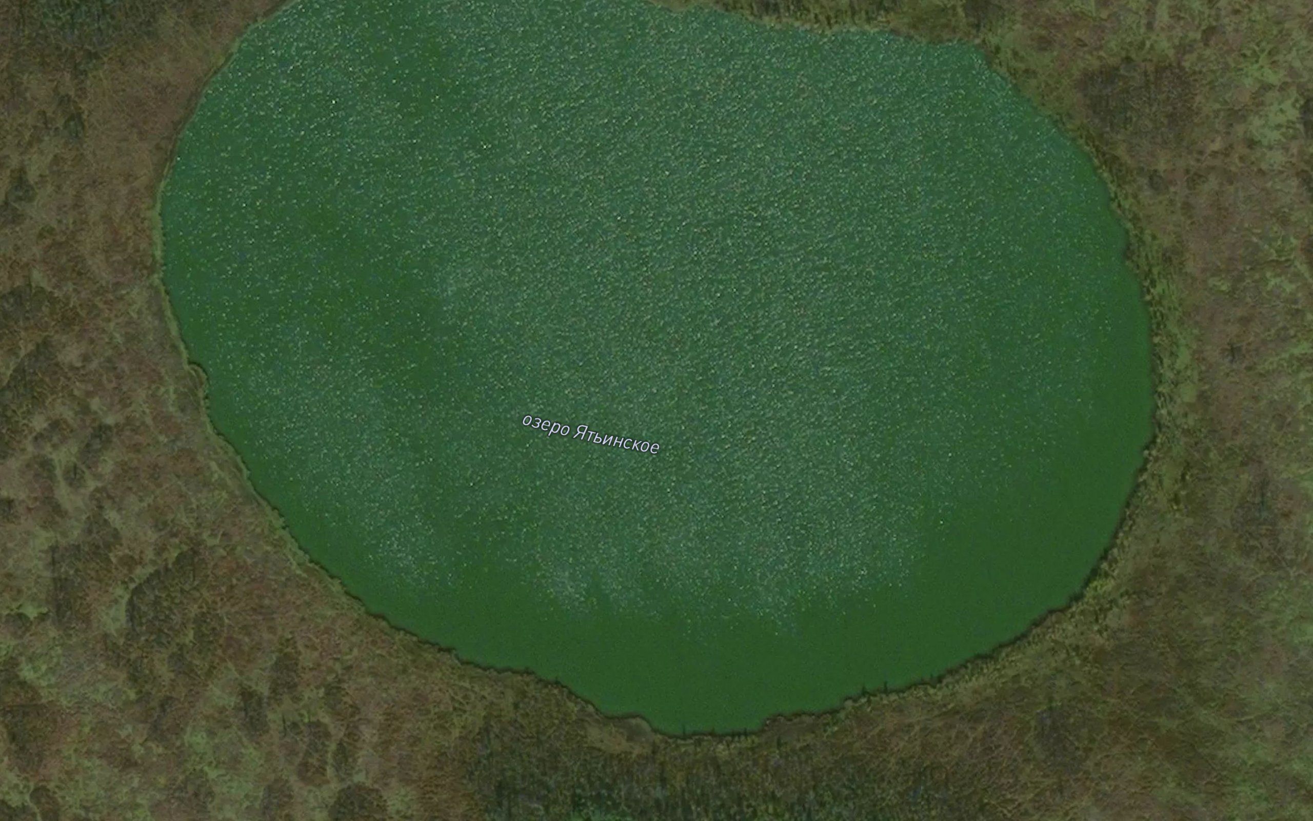 Ozero Yat'inskoye