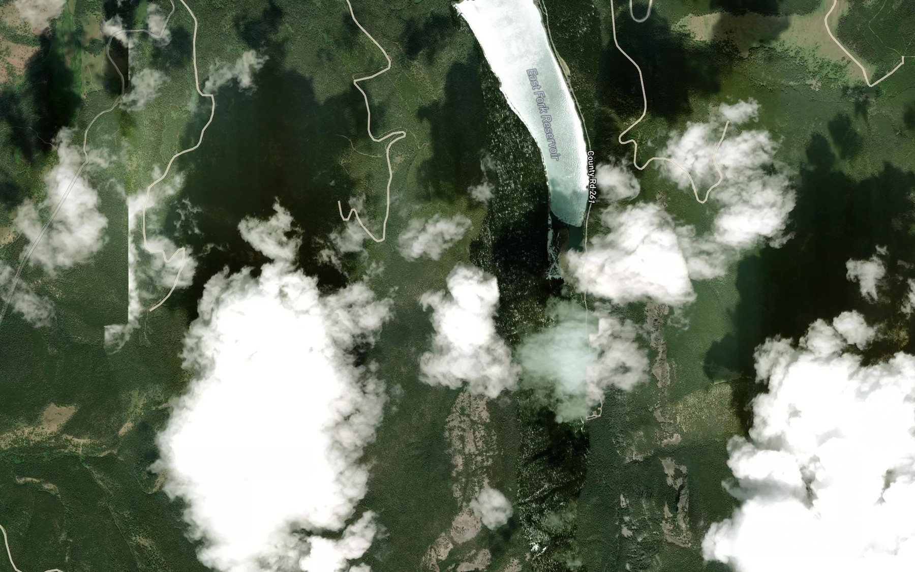 Satellite map of the George Lake