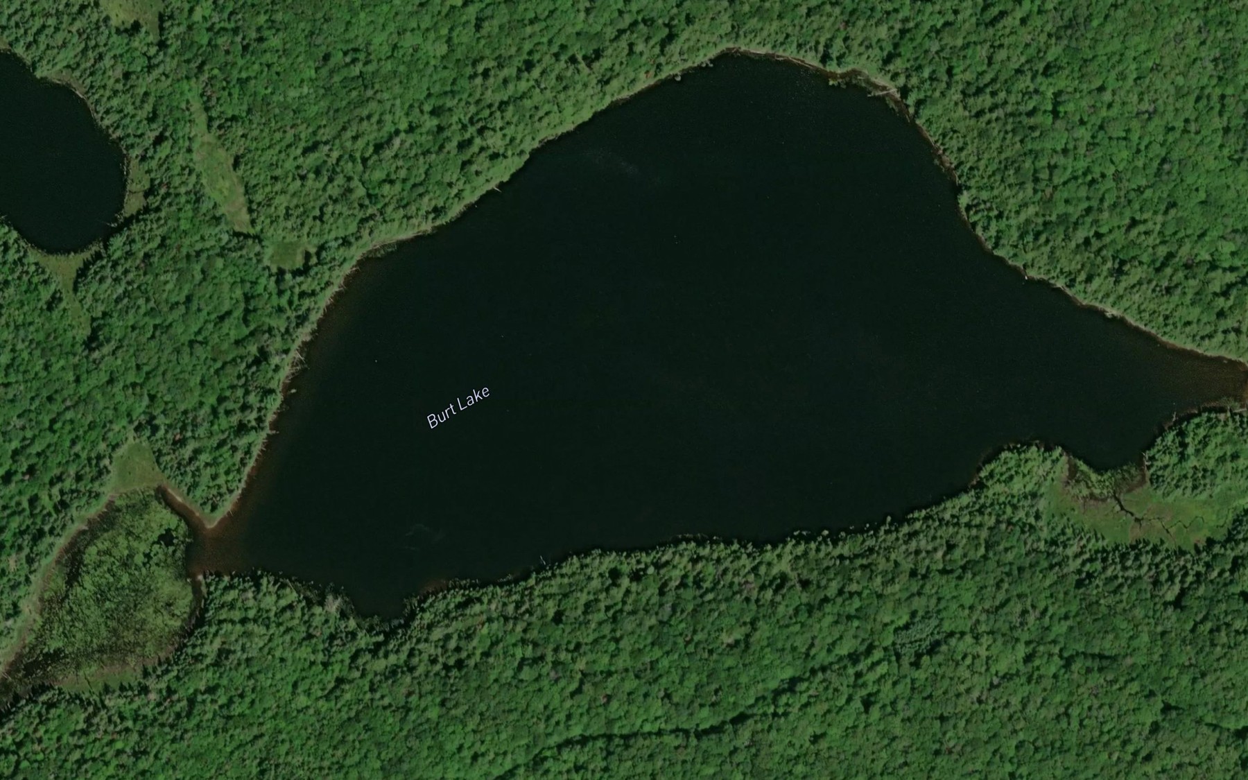 Satellite map of the Burt Lake