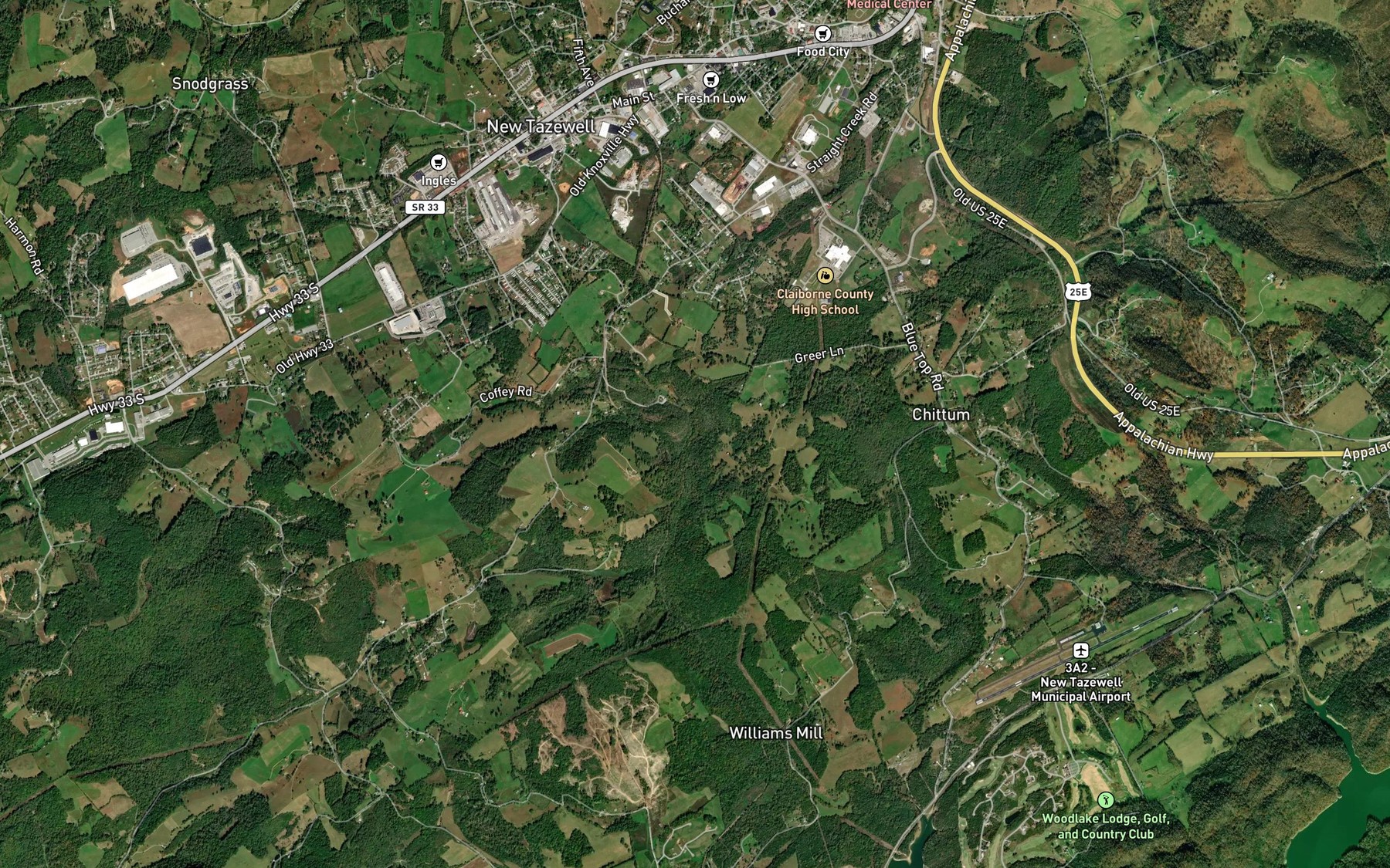Satellite map of the Greer Lake
