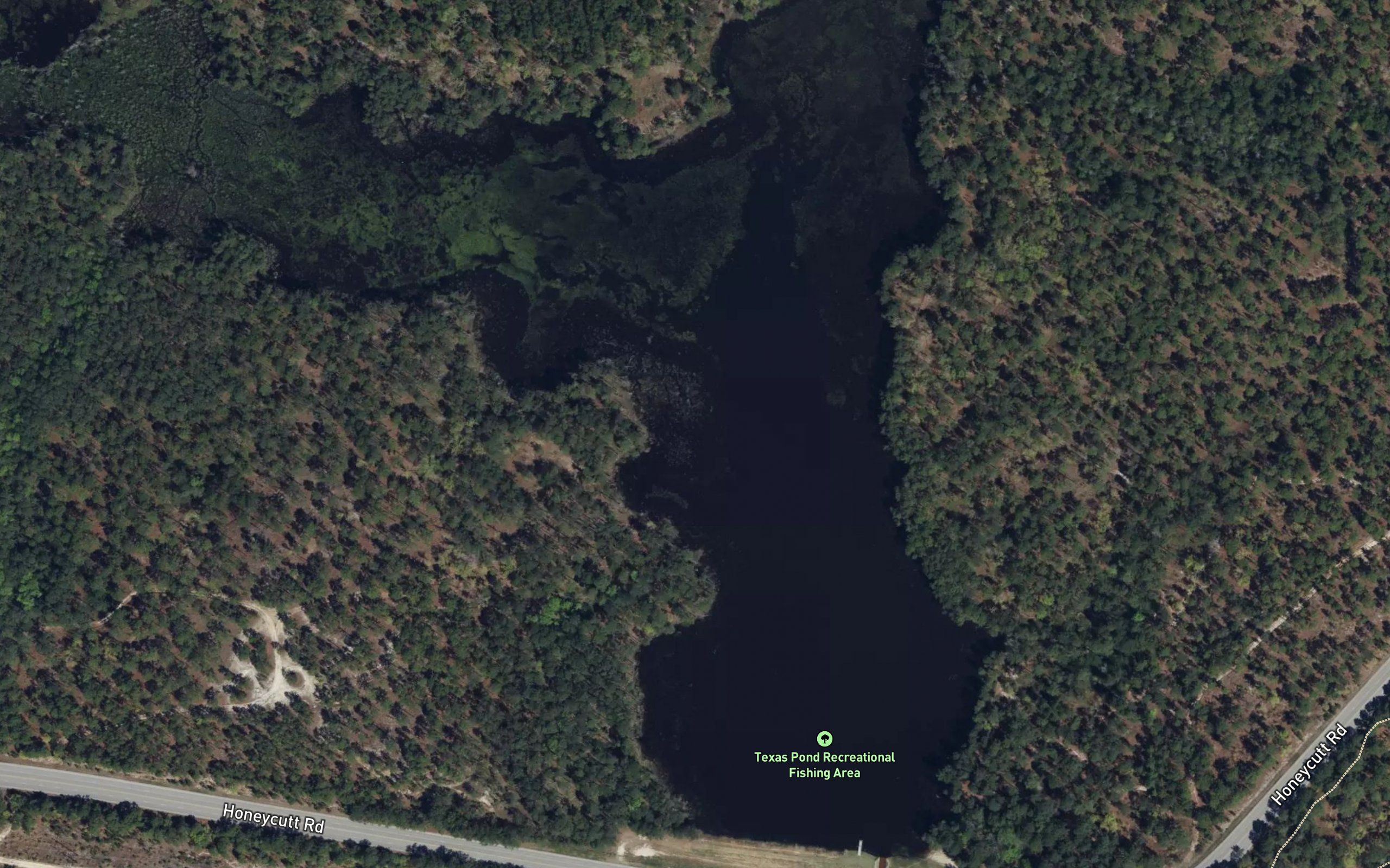 Texas Pond