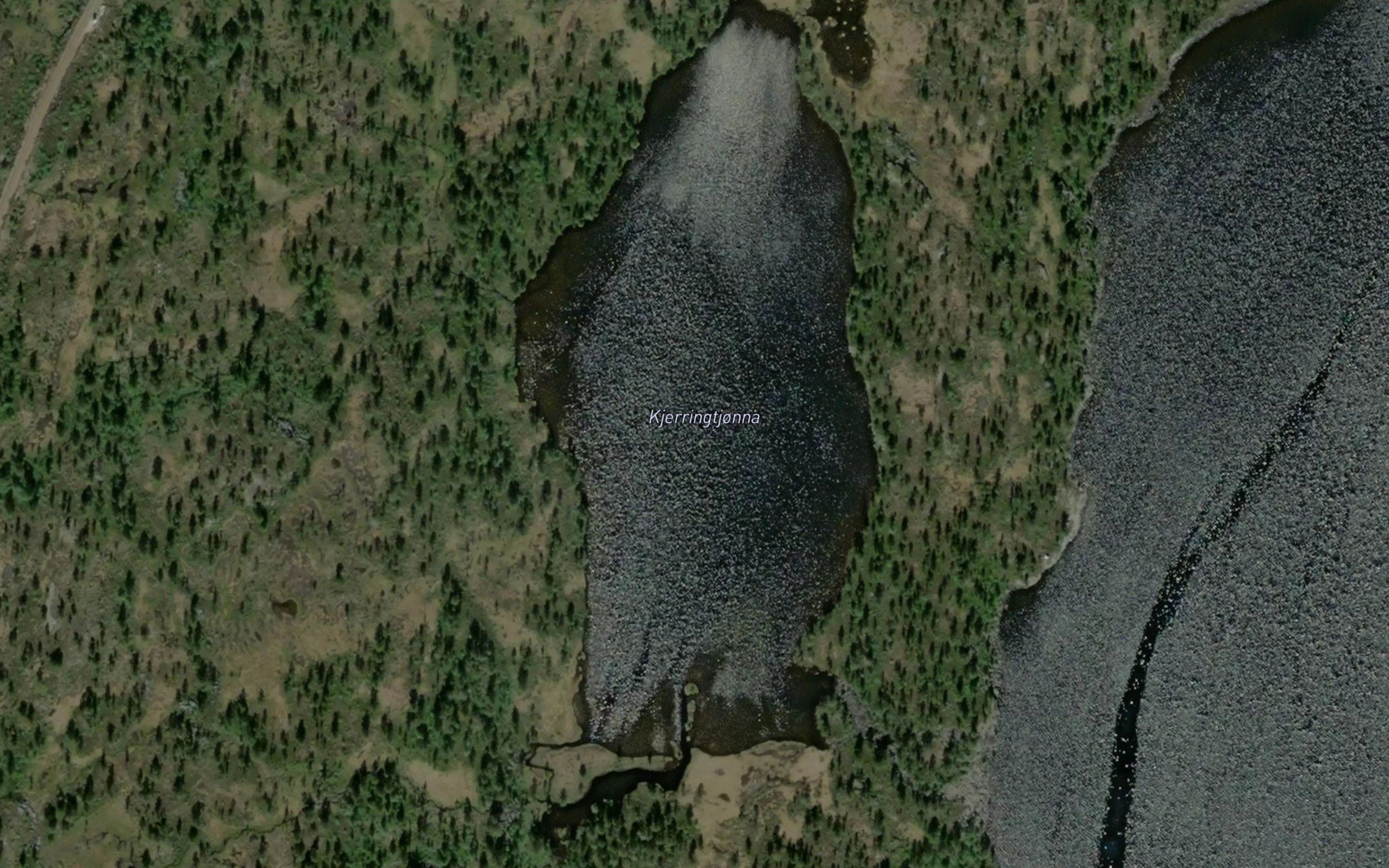 Kjerringtjonna