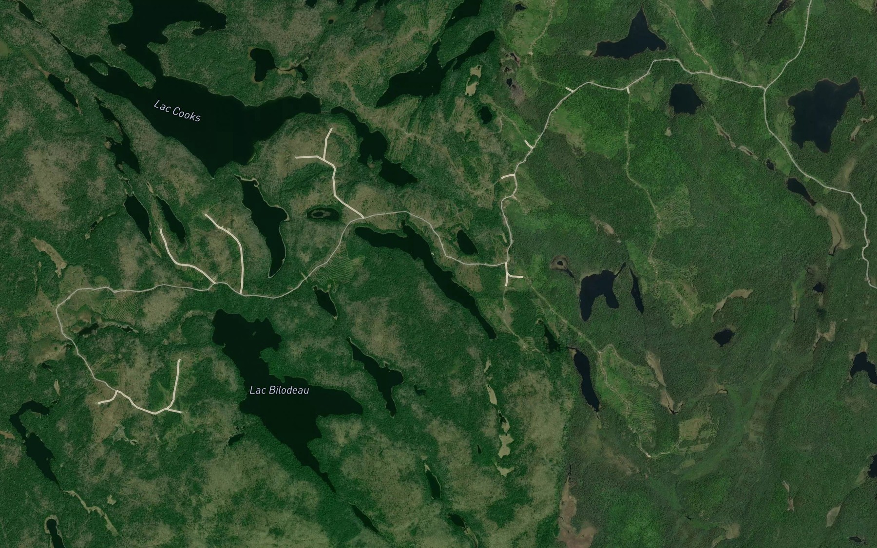 Satellite map of the Petit lac Bilodeau