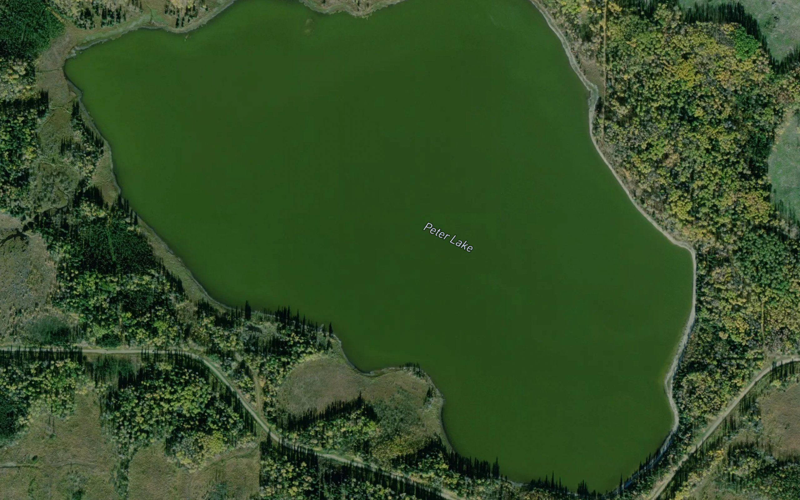 Peter Lake