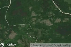 Bashdermenski Kaynatsi