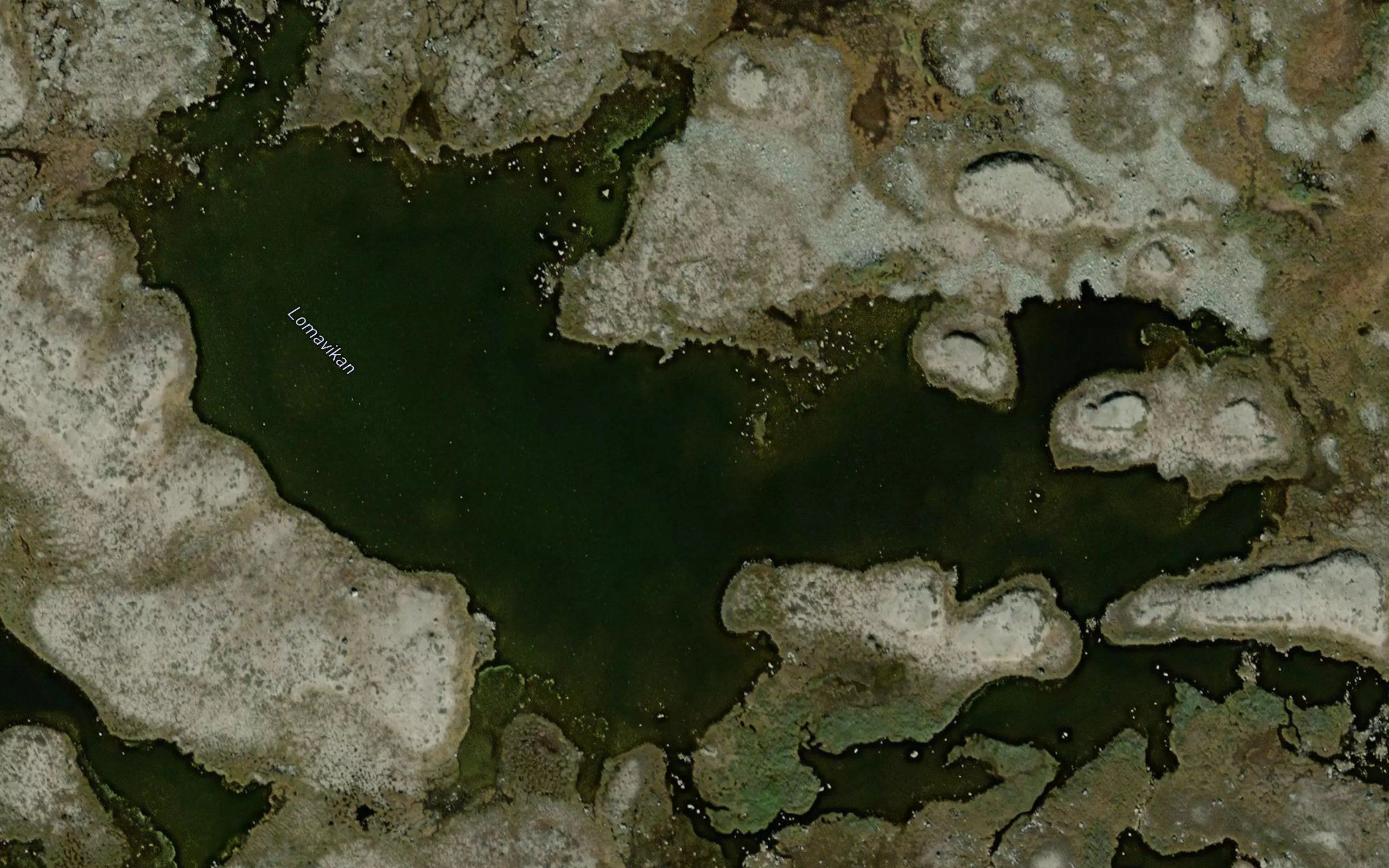 Lomavikan