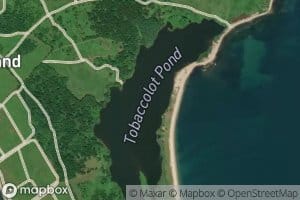 Tobaccolot Pond