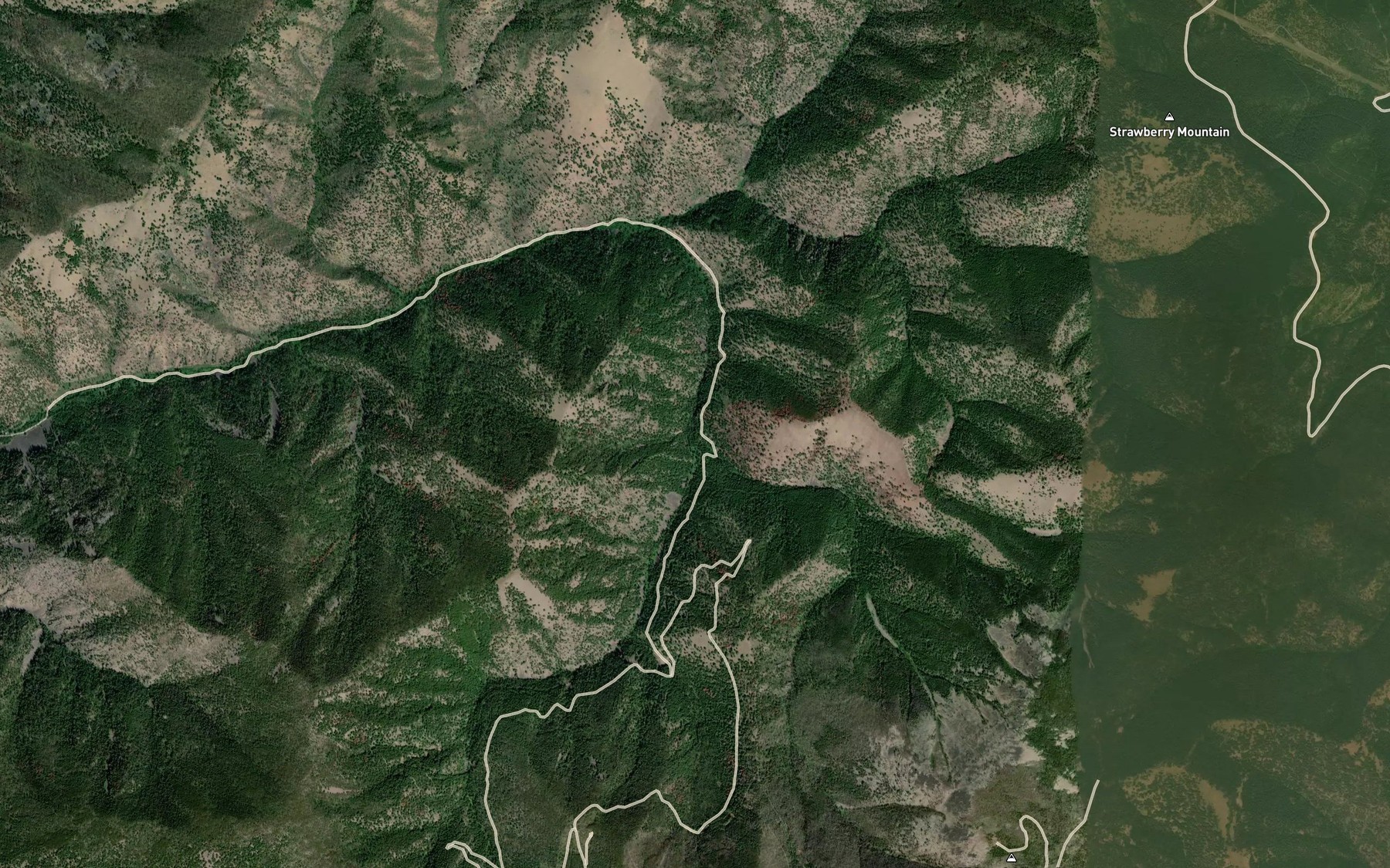 Satellite map of the East Fork Brewster Creek