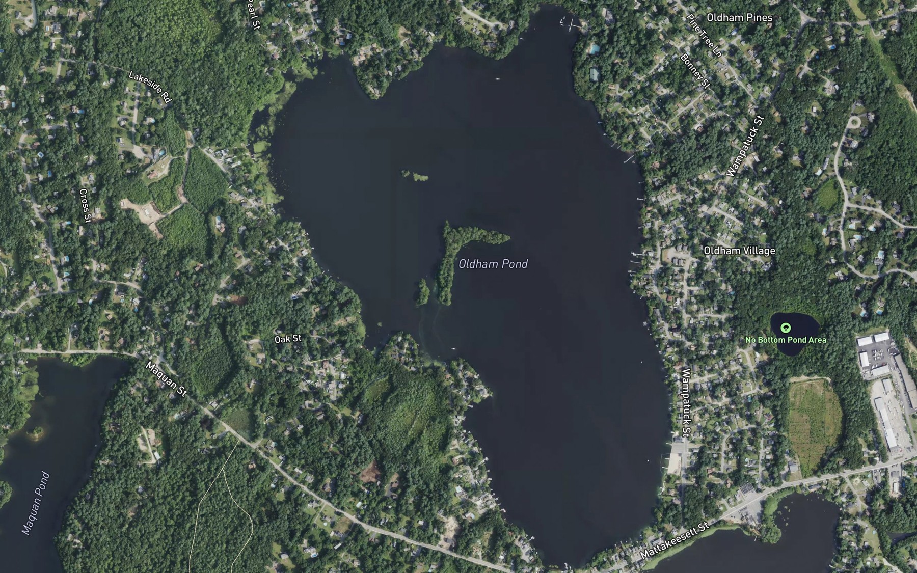 Satellite map of the Oldham Pond