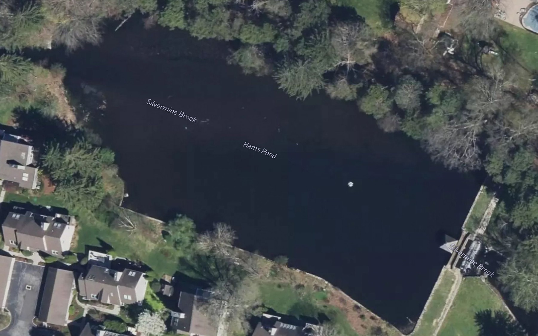 Satellite map of the Hams Pond