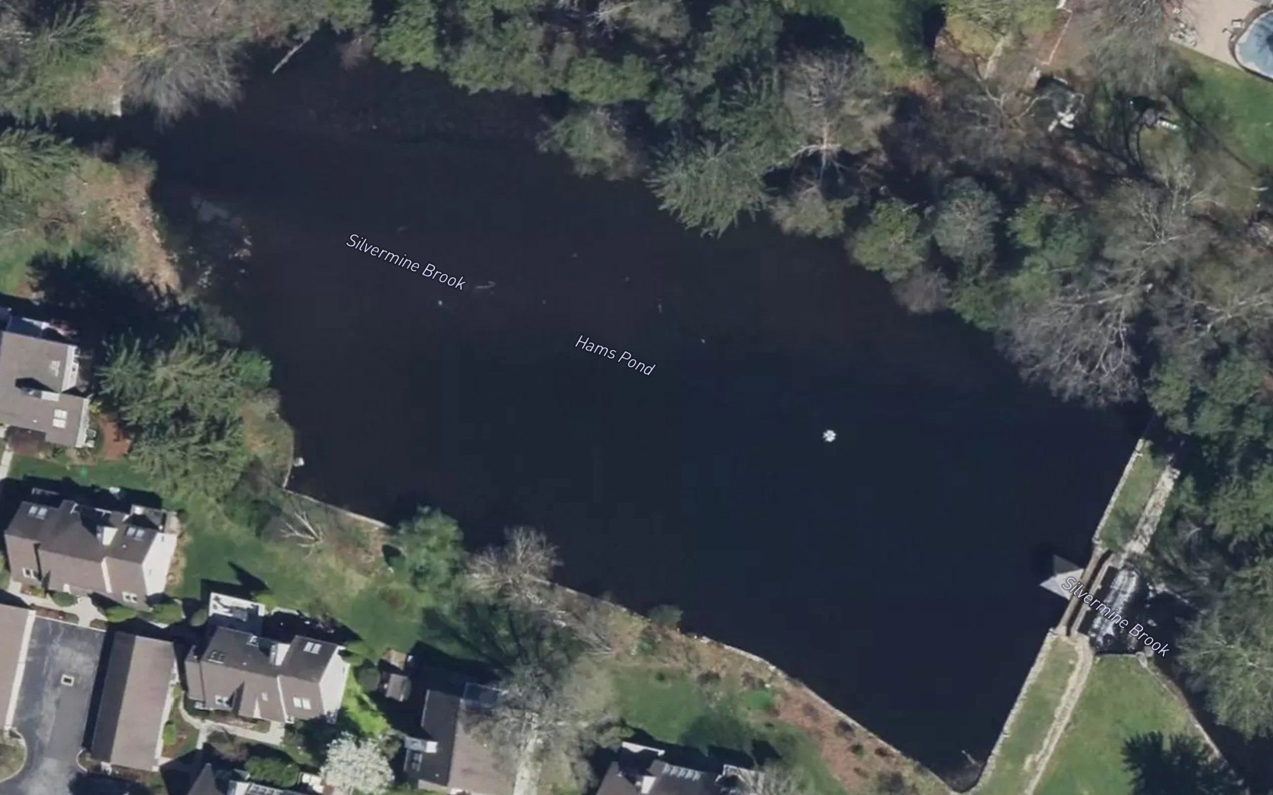 Hams Pond