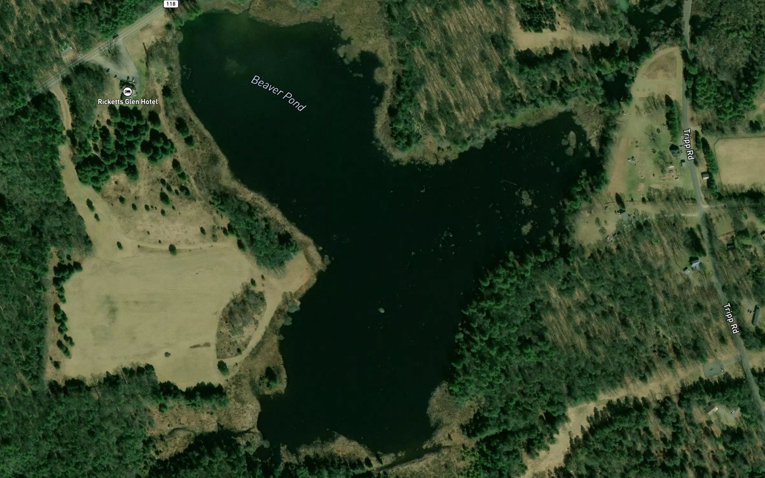 Beaver Pond