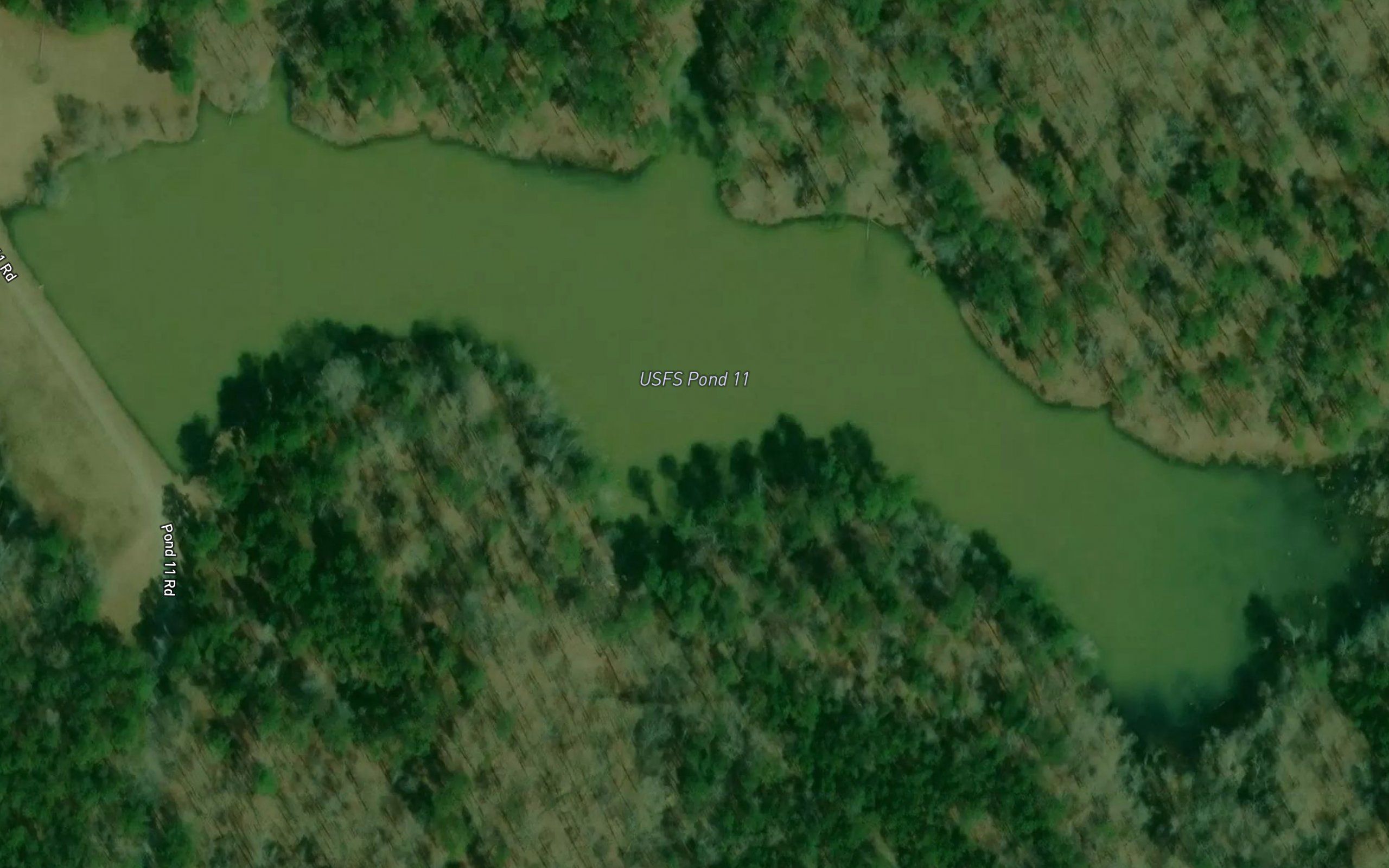 Piedmont Wildlife Lake
