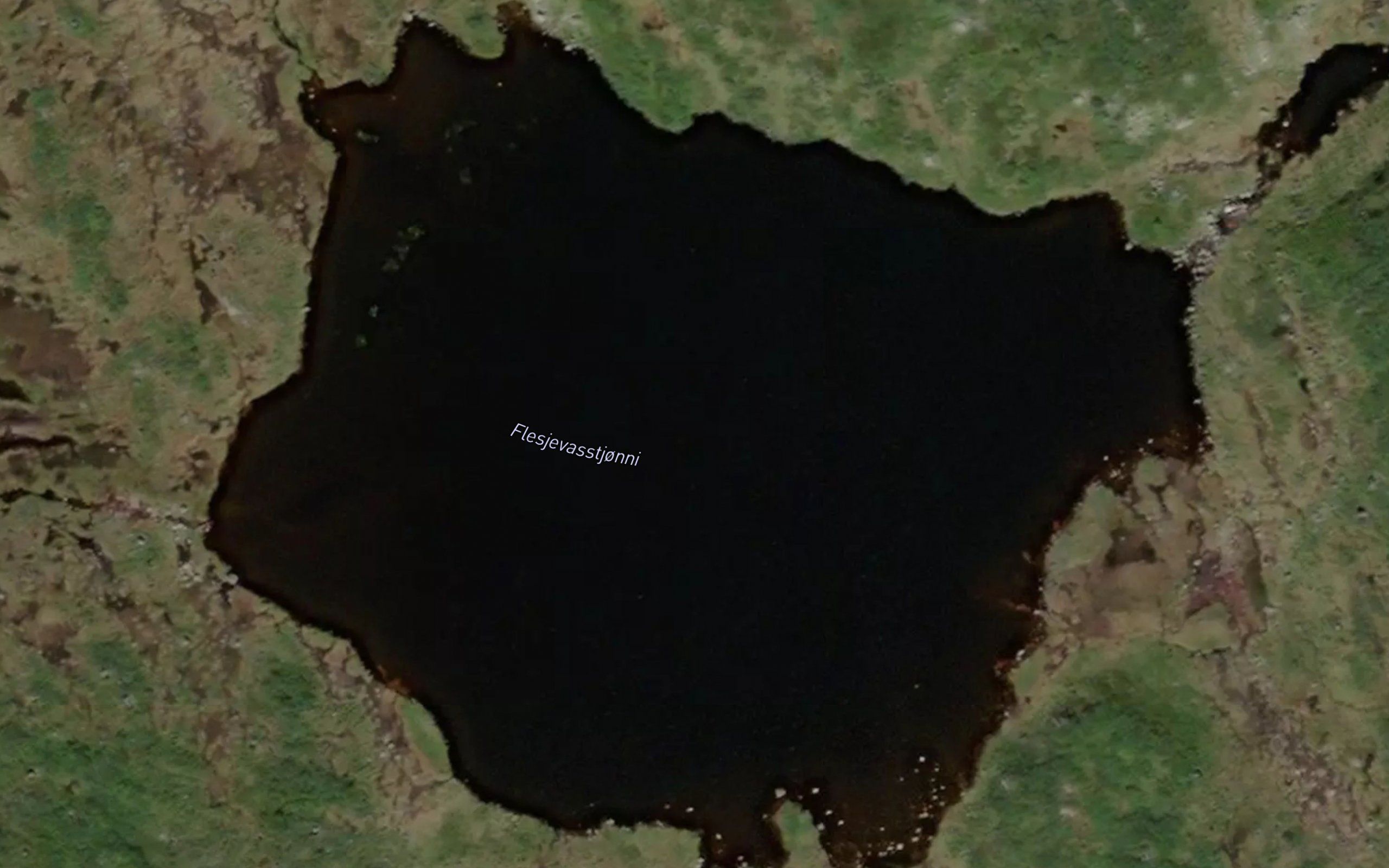 Flesjevasstjorni