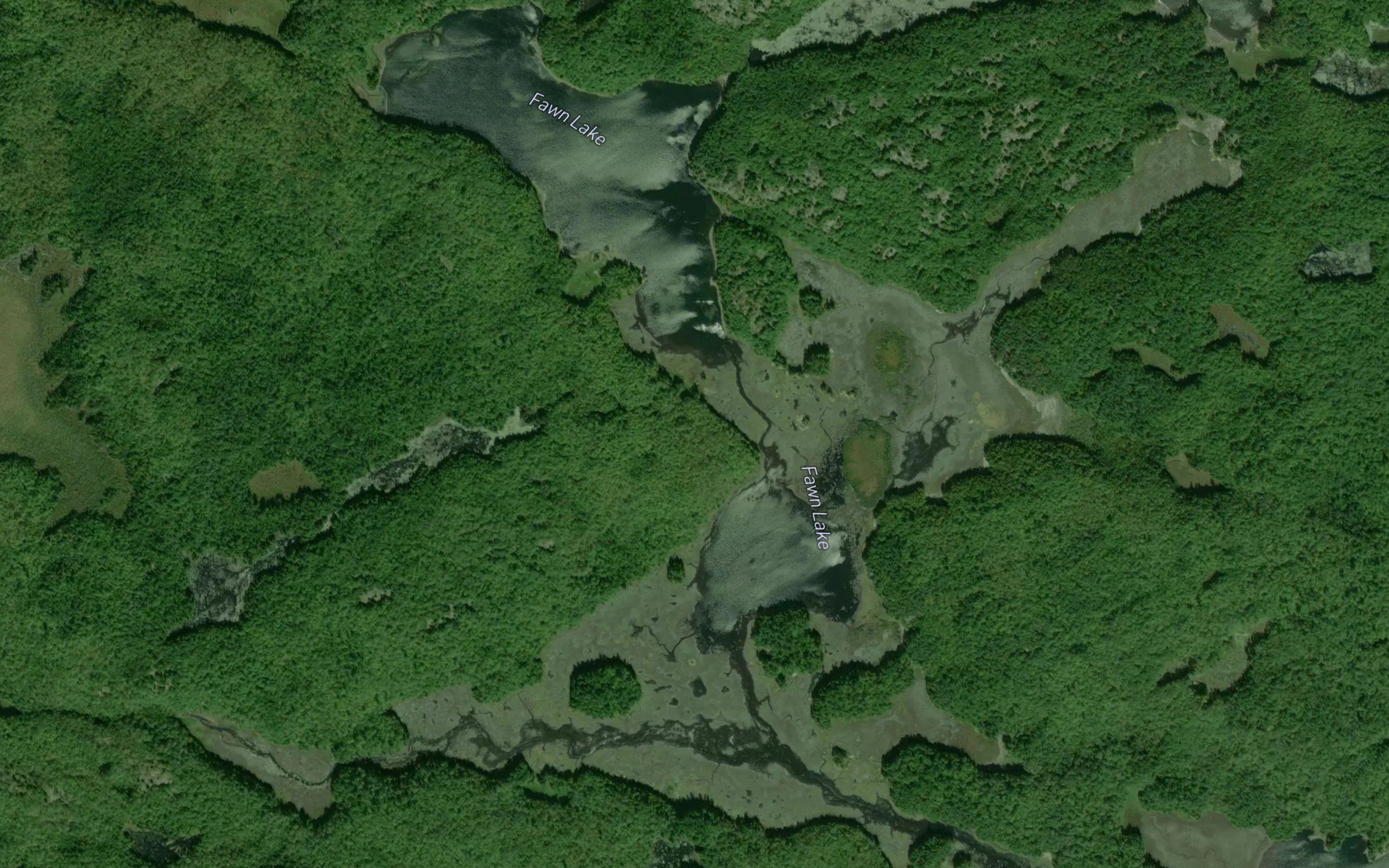 Fawn Lake