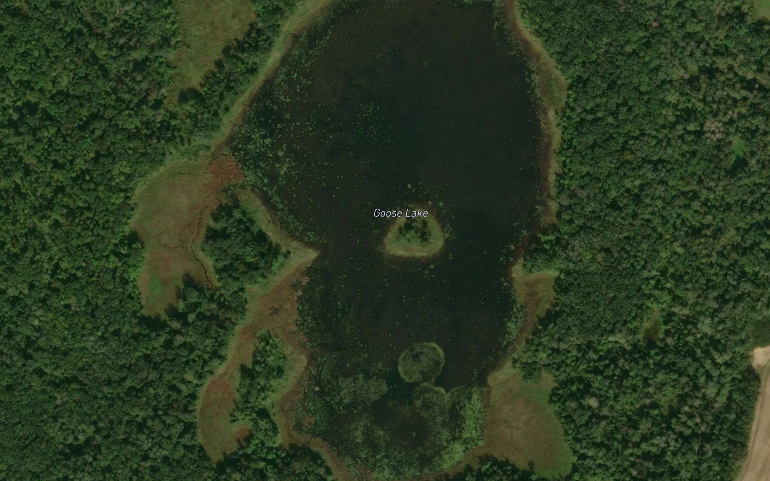 Goose Lake