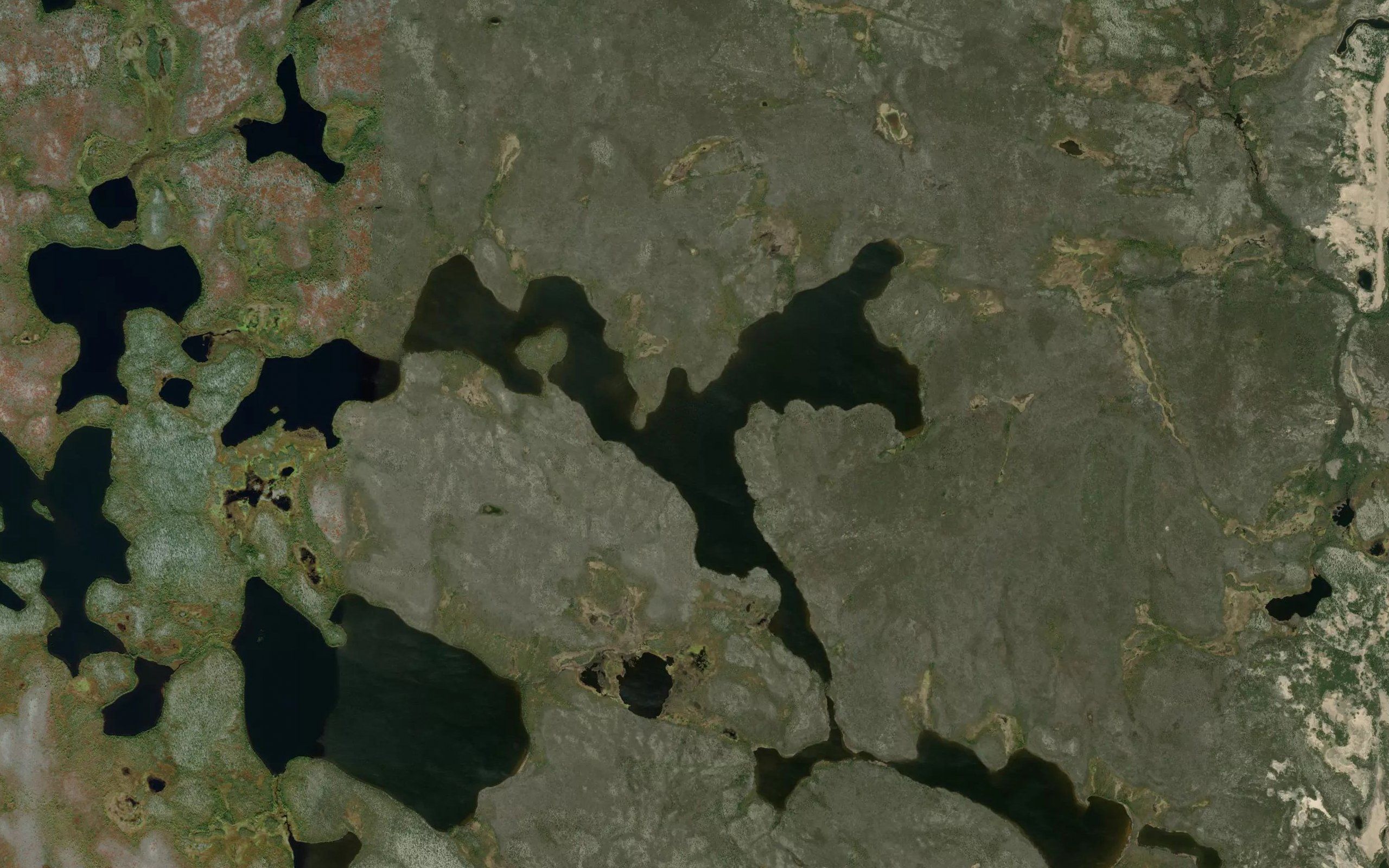 Regis Lake