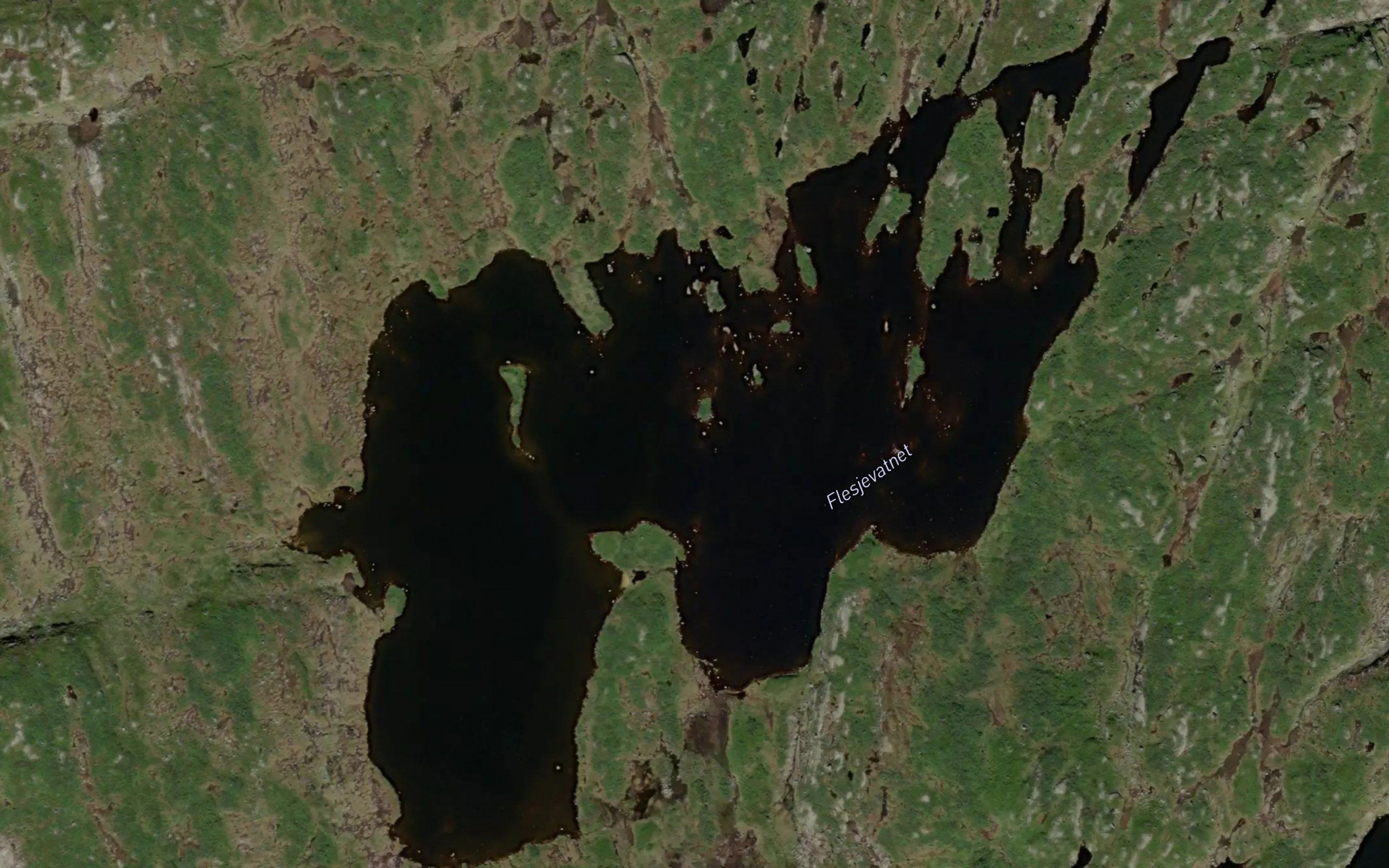 Flesjevatnet