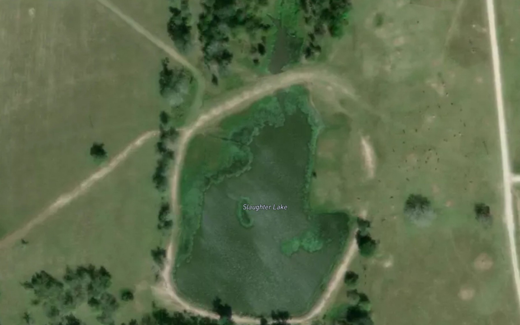Satellite map of the Slaughter Lake