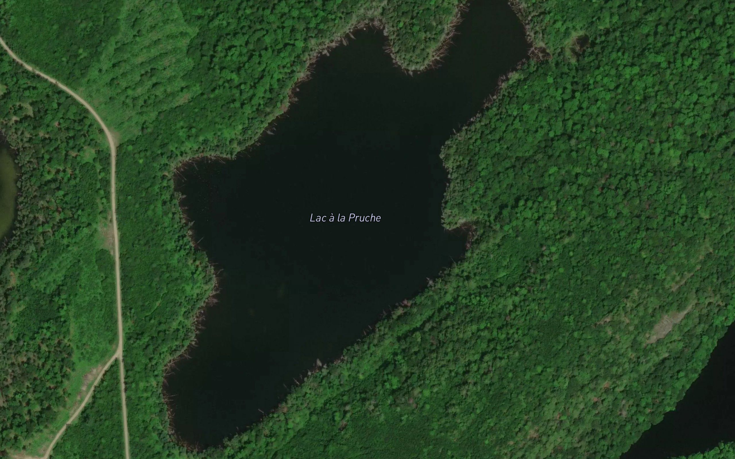 Lac a la Pruche