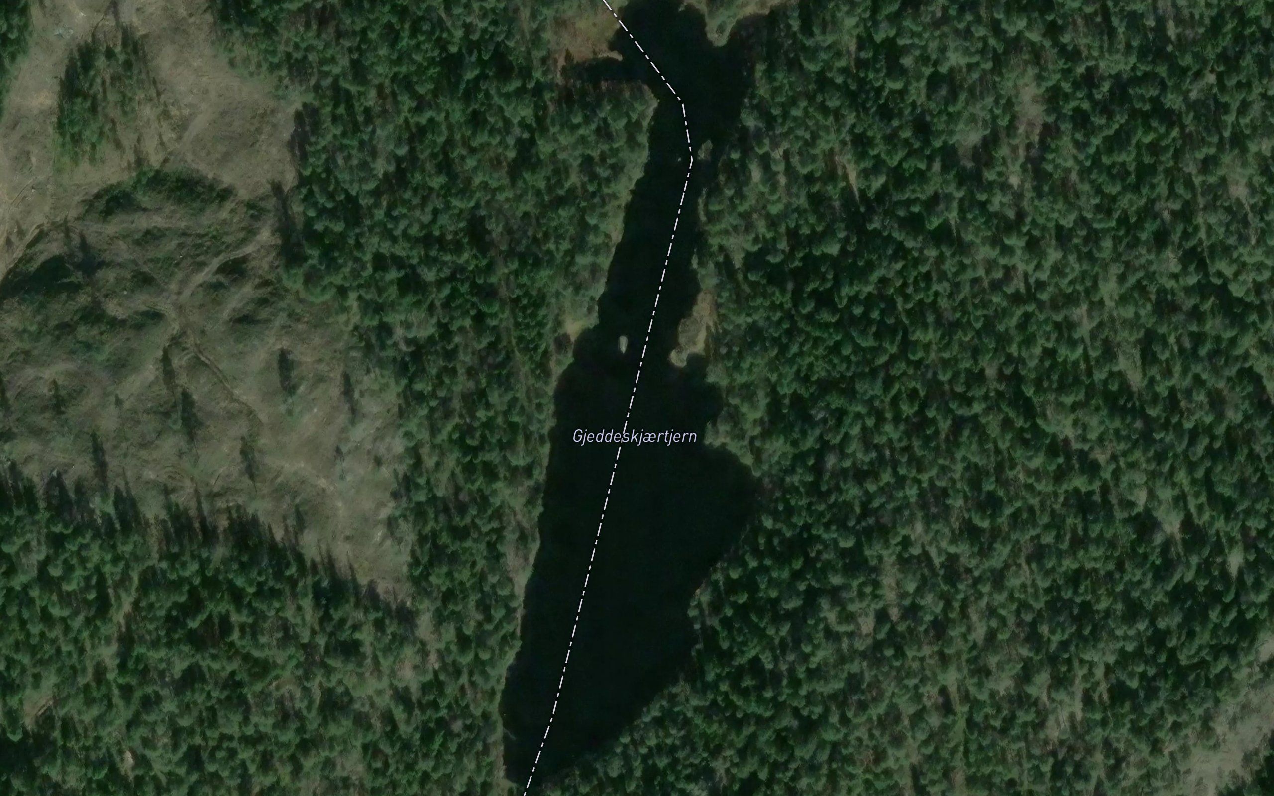 Gjeddeskjaertjern