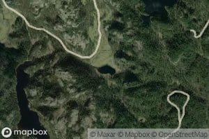 Fuglatjorna