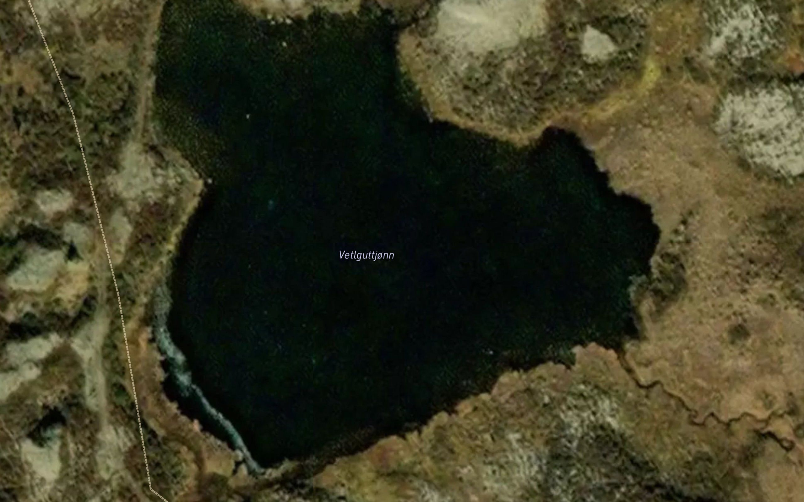 Vesleguttjorni