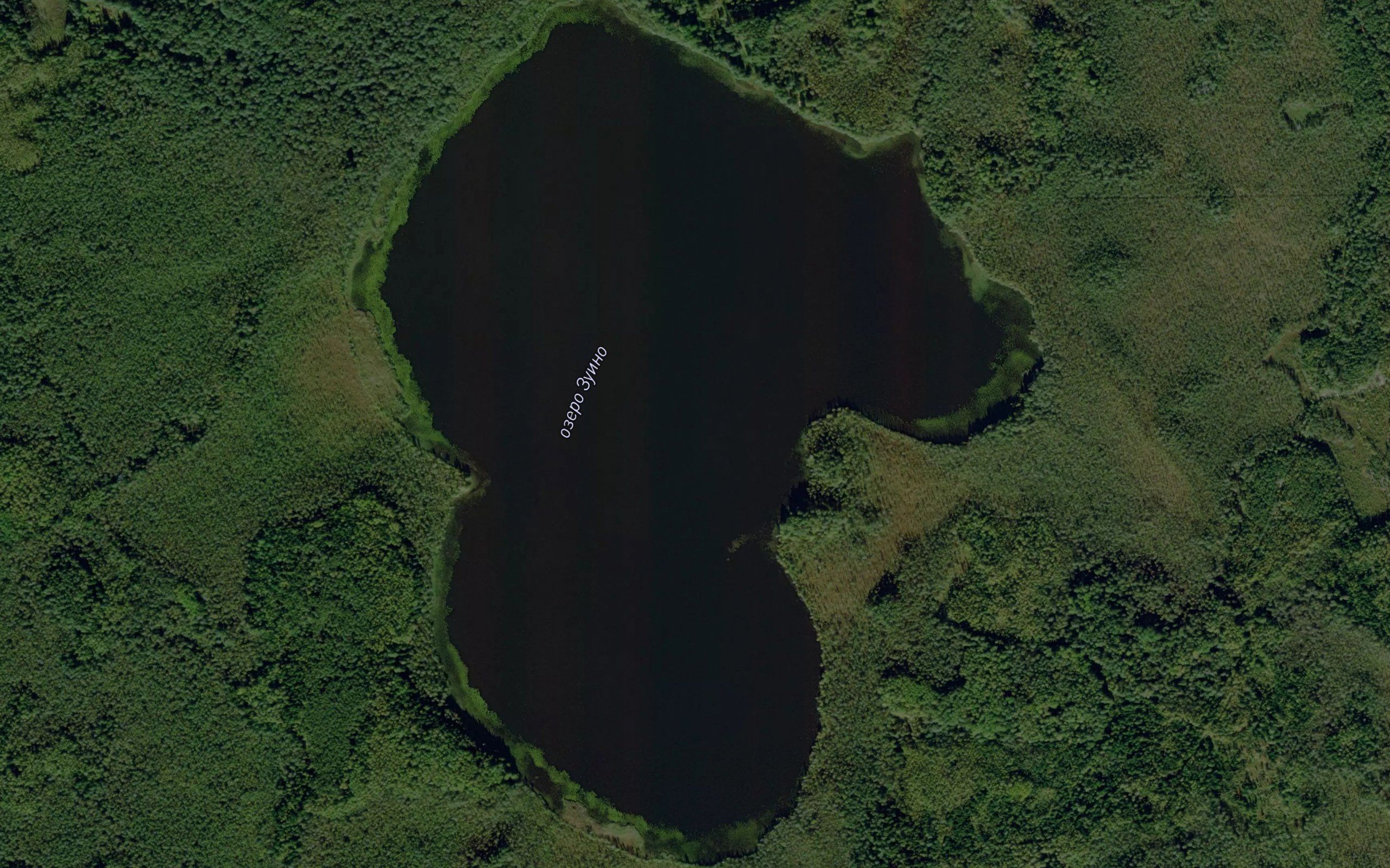 Ozero Zuino