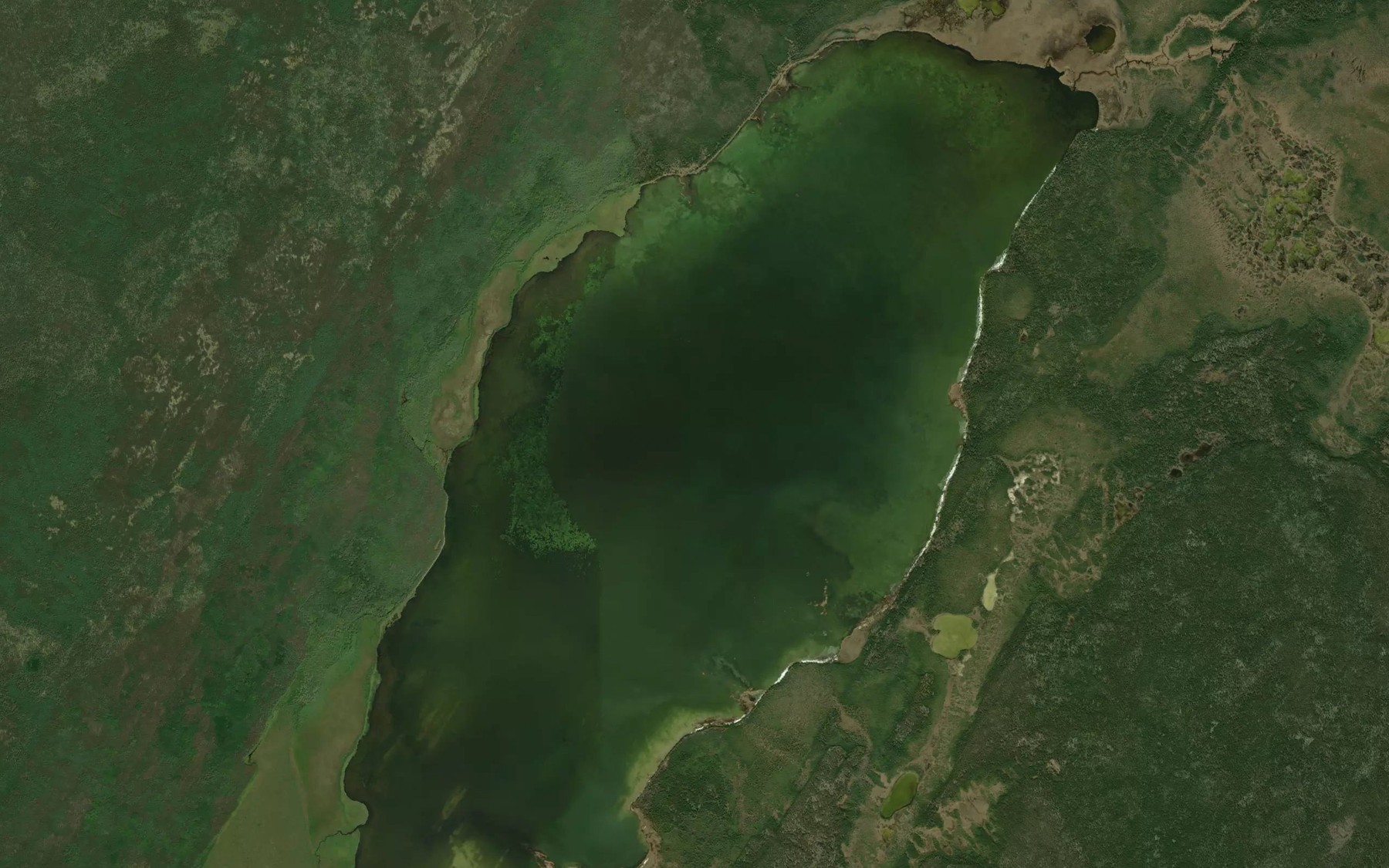 Satellite map of the Perch Lake