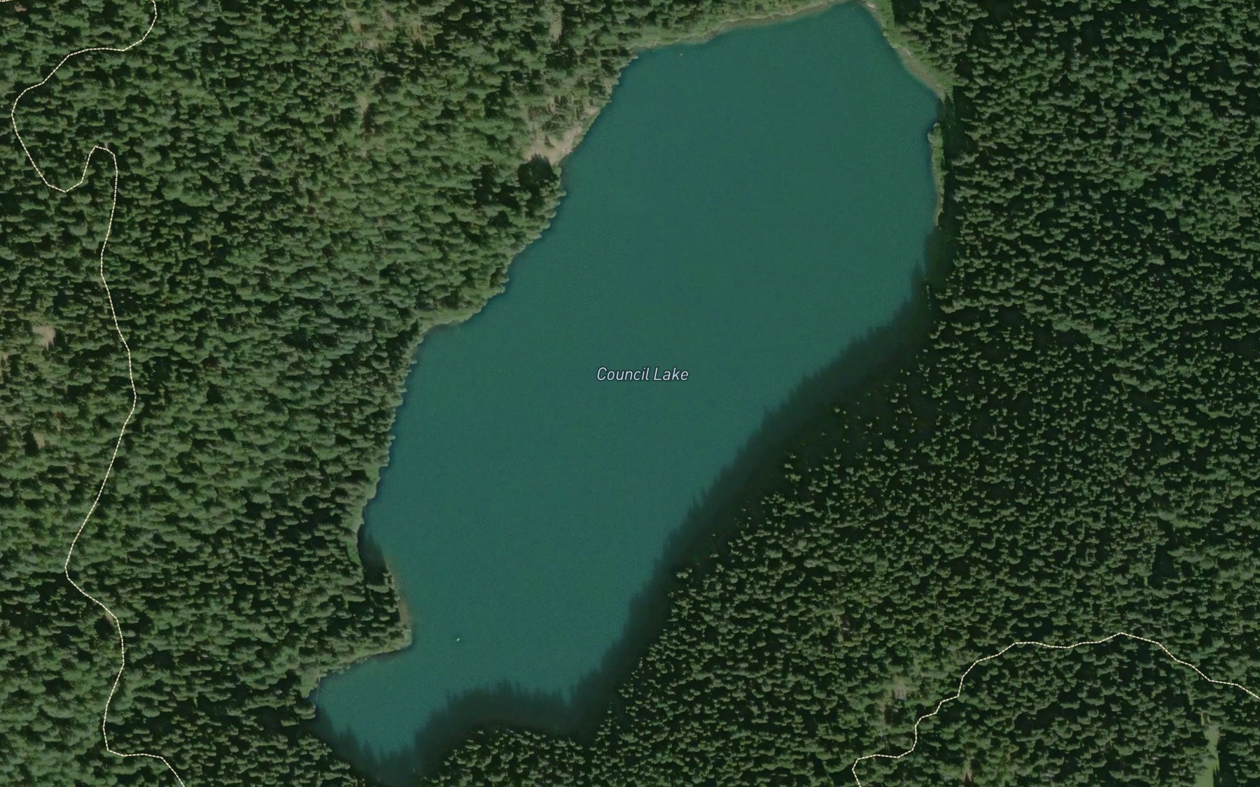 Satellite map of the Council Lake