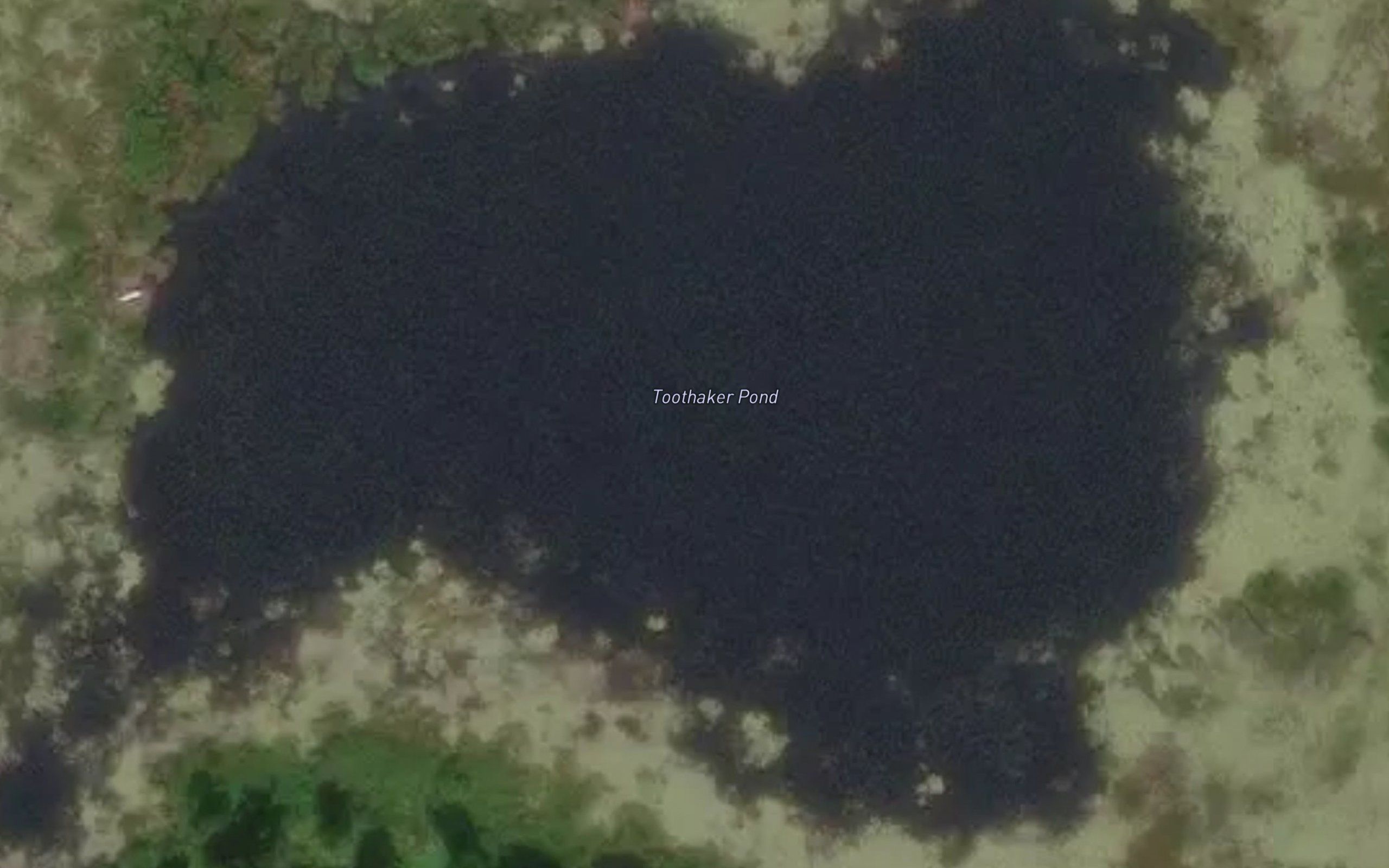 Toothaker Pond