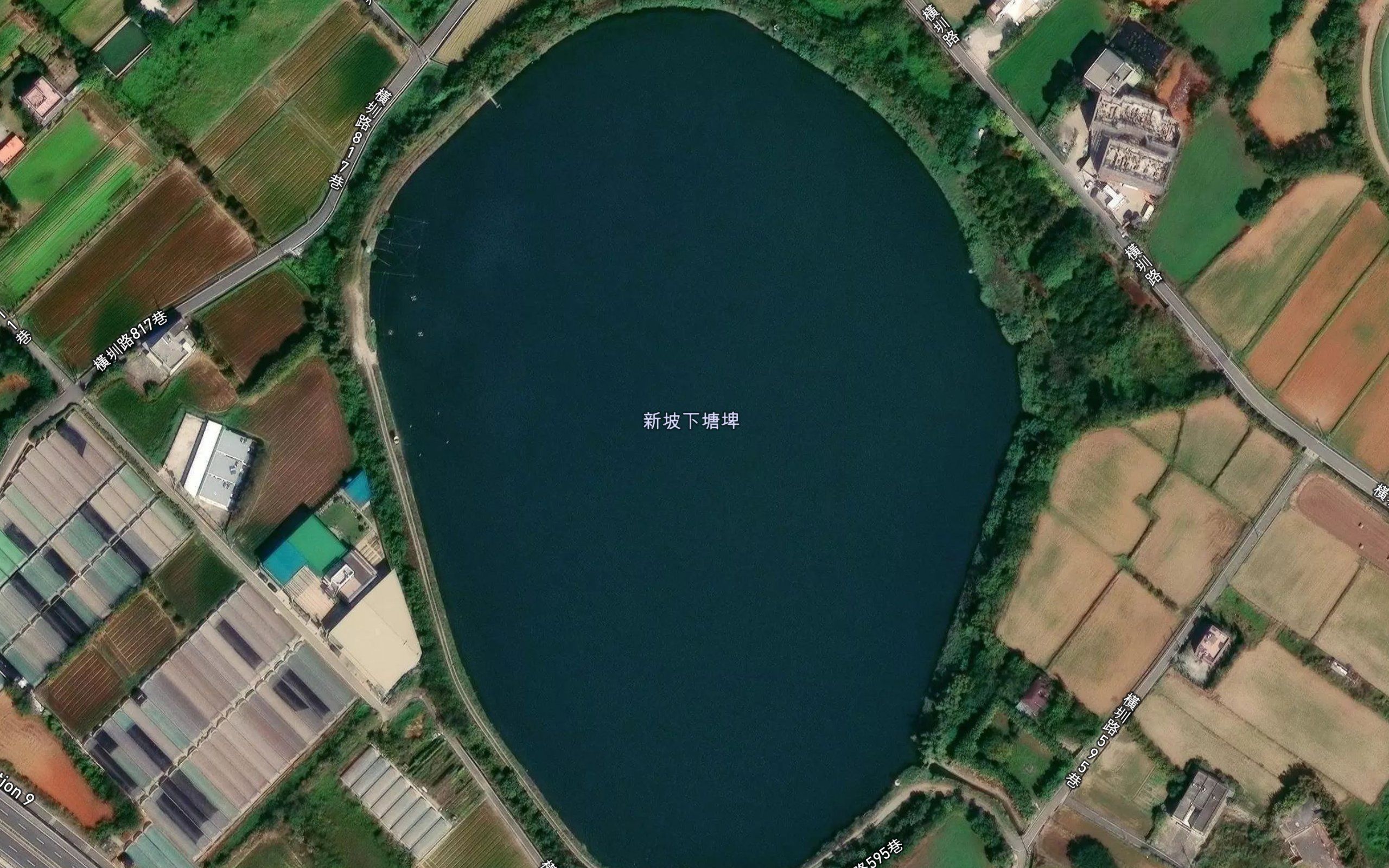 Xinpo Xiatang Pi