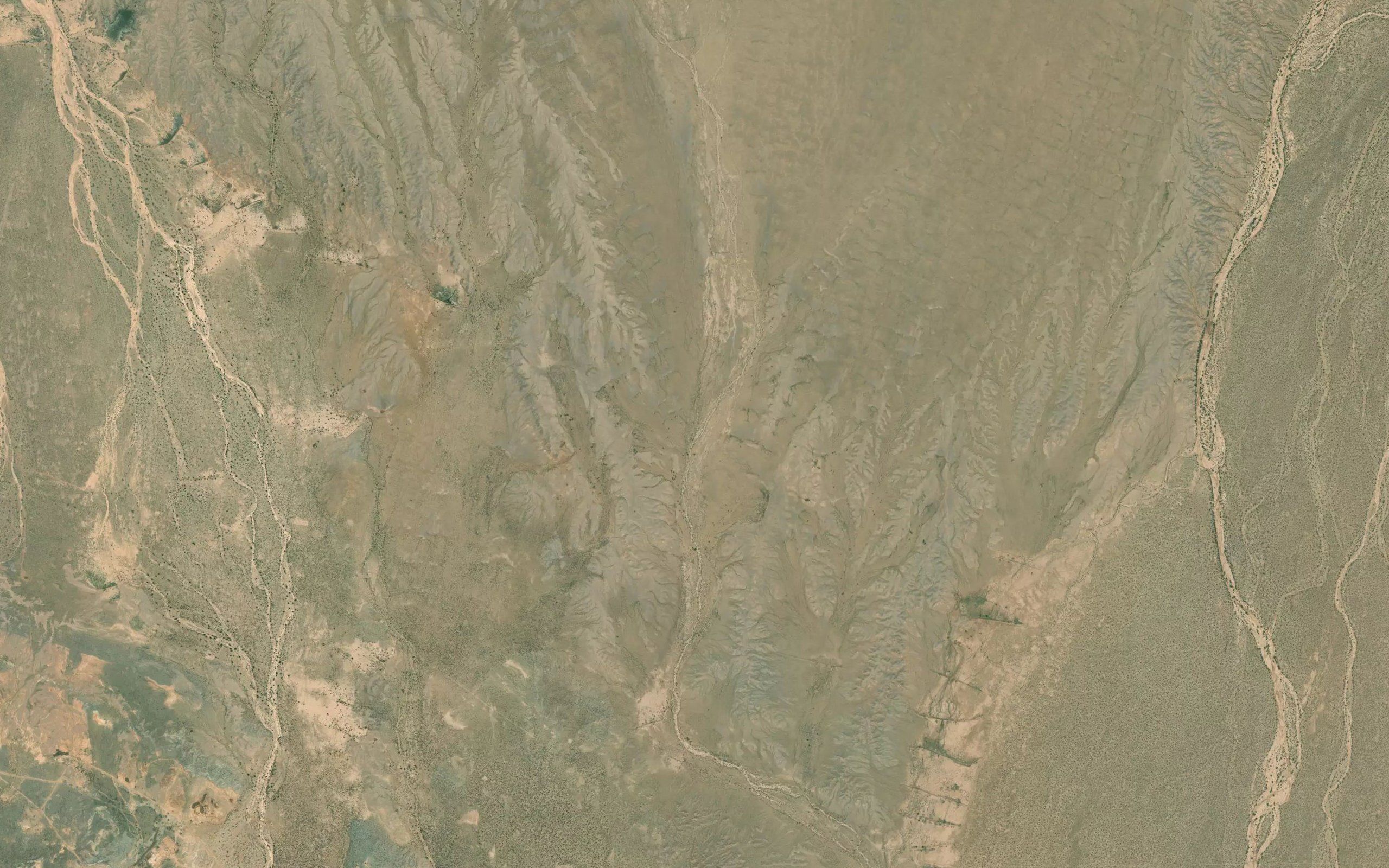 Tondo Nala