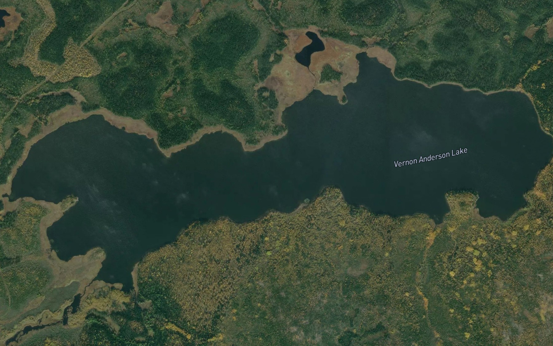 Satellite map of the Vernon Anderson Lake