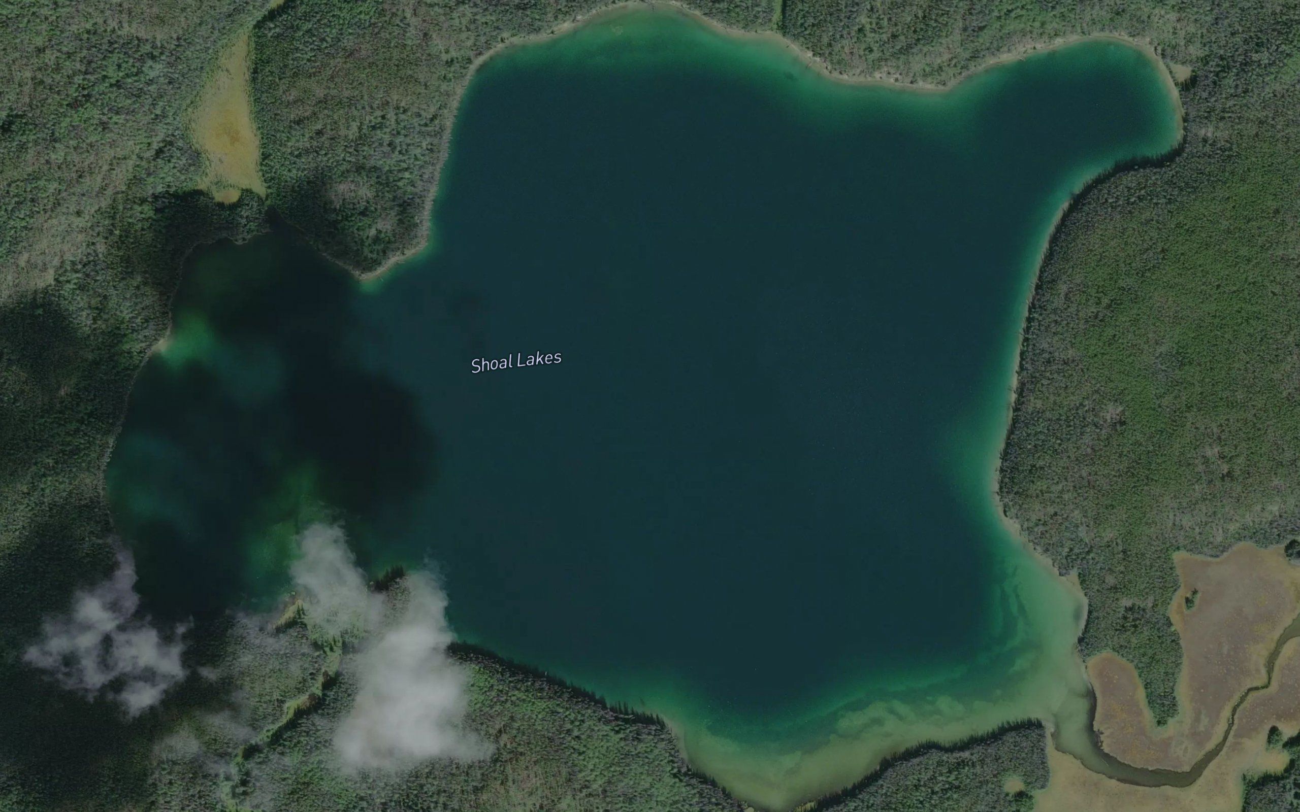 Shoal Lakes