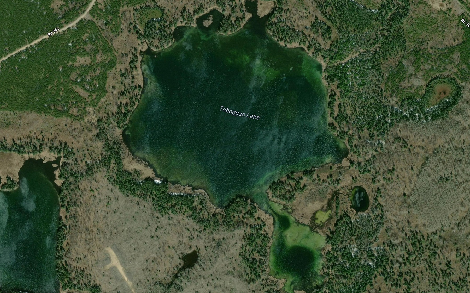 Satellite map of the Toboggan Lake